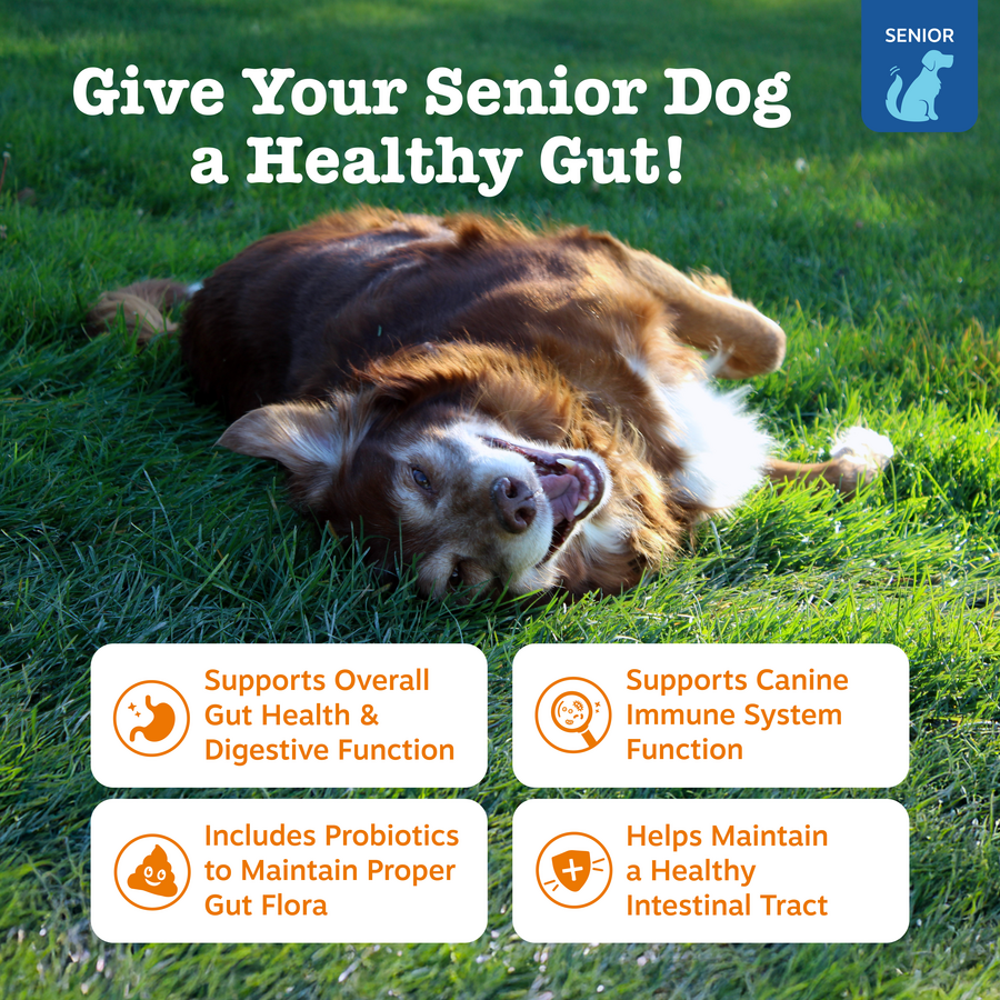 810030590002_ZP_Dog_Supplements_SrAdvProbiotic_Bites_Chicken_90ct_Features-900x900-c4cc11b.png
