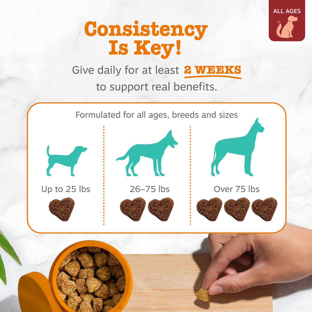 810030590354_ZP_Dog_AE_Calming_Bison-90ct_4_Feeding-1200x1200-bd93c0f.jpg