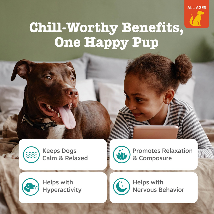 810030590514_ZP_Dog_LilZestiesCalmingSquares_20oz_2_Features-900x900-c4cc11b.png