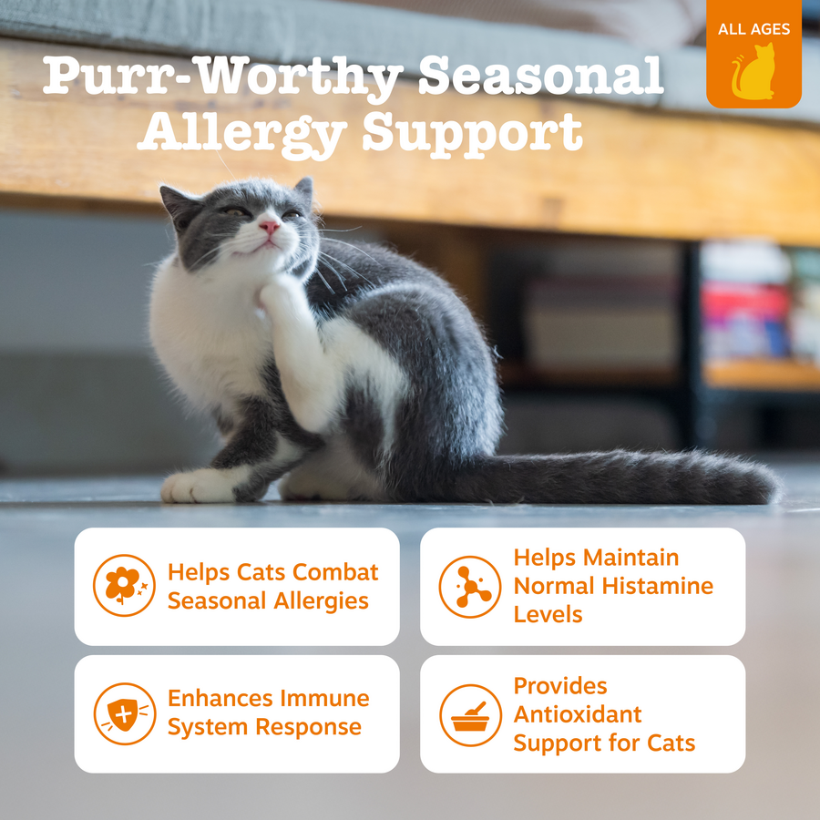 810030590576_ZP_Cat_Supplements_AllergyImmune_Bites_Bacon_60ct_Features-900x900-c4cc11b.png