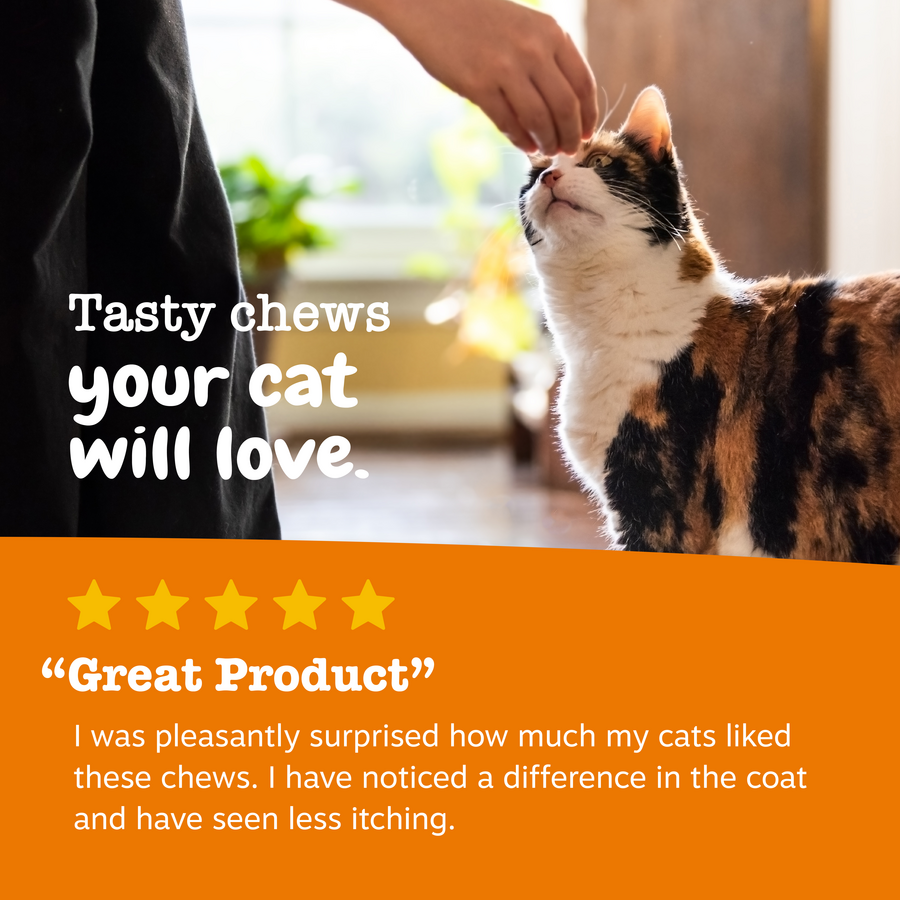 810030590576_ZP_Cat_Supplements_AllergyImmune_Bites_Bacon_60ct_Review-900x900-c4cc11b.png