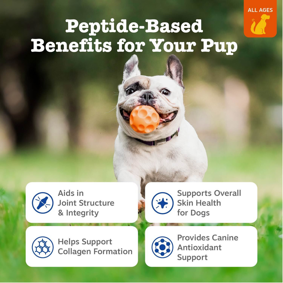 810030590644_ZP_Dog_MultiCollagenBites_Chicken_90ct_2_Features-900x900-c4cc11b.png