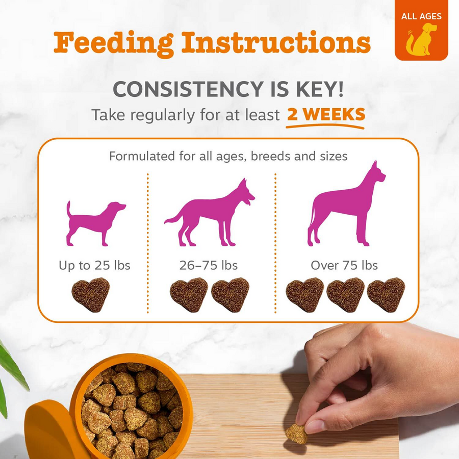 810030590767_ZP_Dog_Supplement_Salmon_Bites_Bacon_90ct_Feeding-900x900-c4cc11b_97e887cf-0a95-4650-a2aa-0cd61a41810b.png