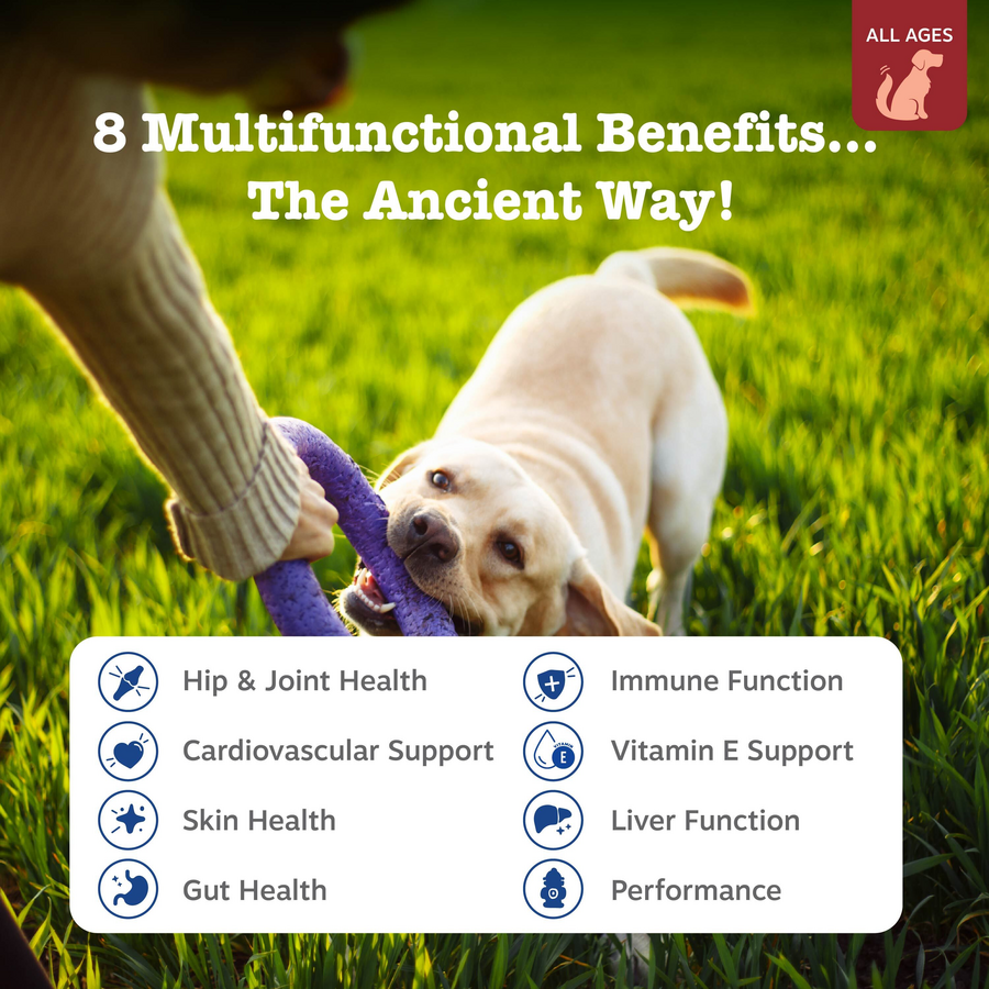 810030590798_ZP_Dog_AE_8_in_1_MultivitaminBites_Bison_90ct_2_Features-900x900-c4cc11b.png