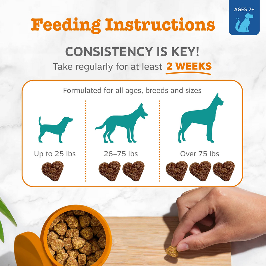 810030591733_ZP_Dog_SA_CalmingCognitionBites_Chicken_90ct_4_Feeding-900x900-c4cc11b.png