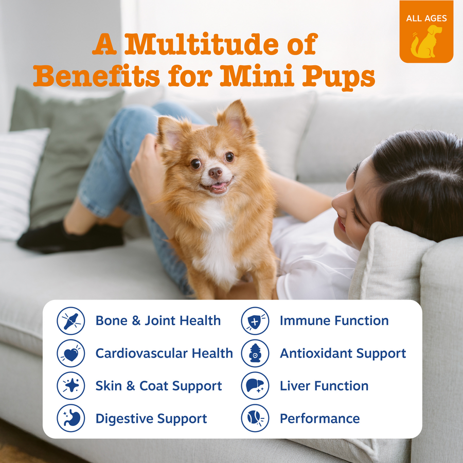 810030591849_ZP_Dog_Multi_Mini_Chicken_90ct_2_Features-900x900-c4cc11b.png