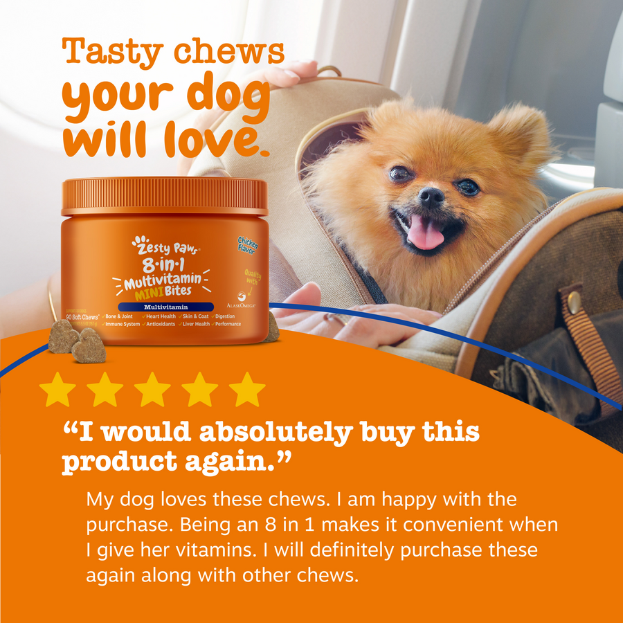 810030591849_ZP_Dog_Multi_Mini_Chicken_90ct_6_Review-900x900-c4cc11b.png