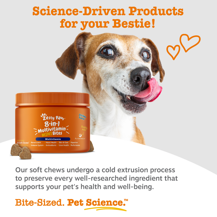 810030591849_ZP_Dog_Multi_Mini_Chicken_90ct_7_Science1-900x900-c4cc11b.png