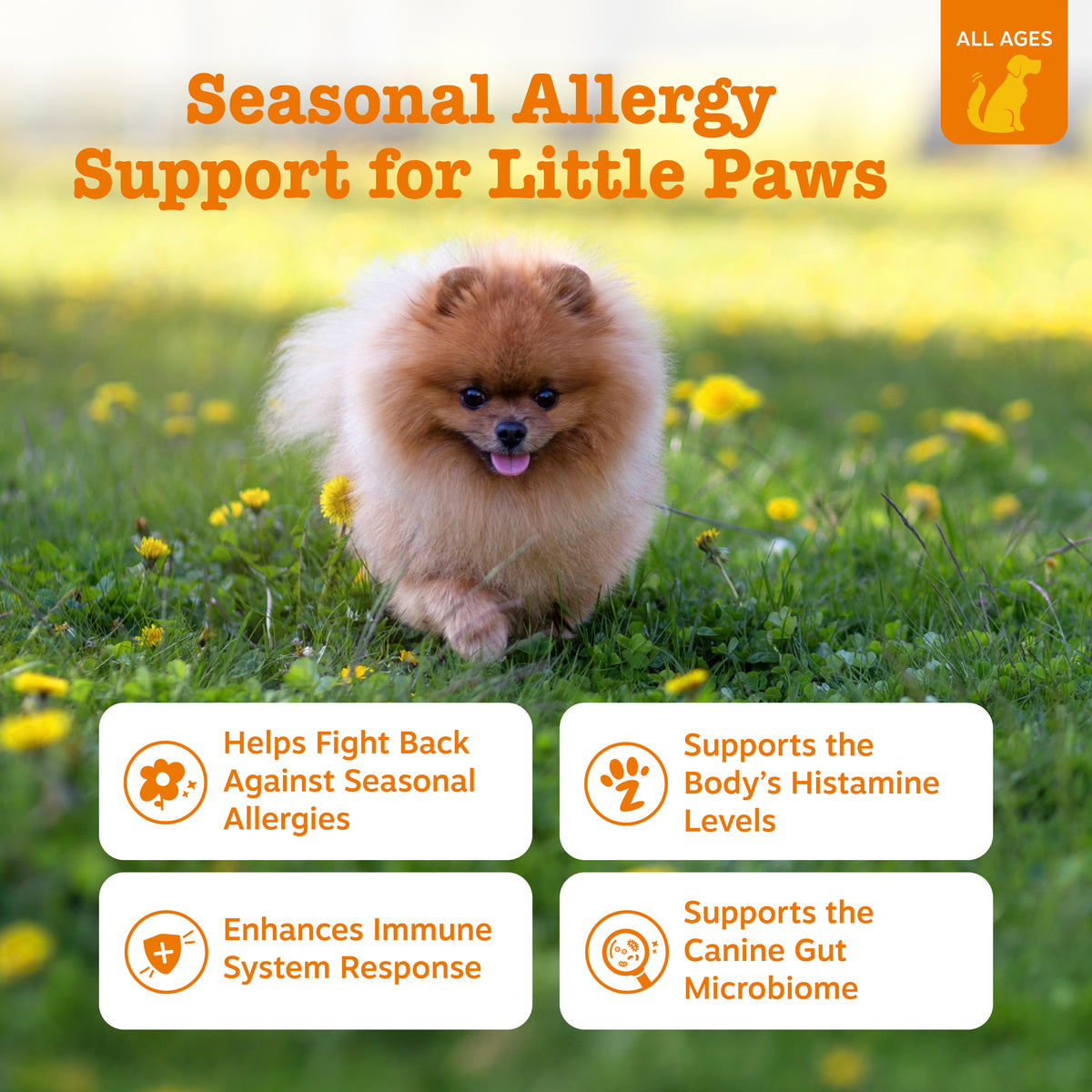 810030591856_ZP_Dog_Supplement_AllergyImmune_MiniBites_Lamb_90ct_Features-1200x1200-bd93c0f_ba7cd2fb-2bd2-46a8-9436-4fb49f4c7068.jpg