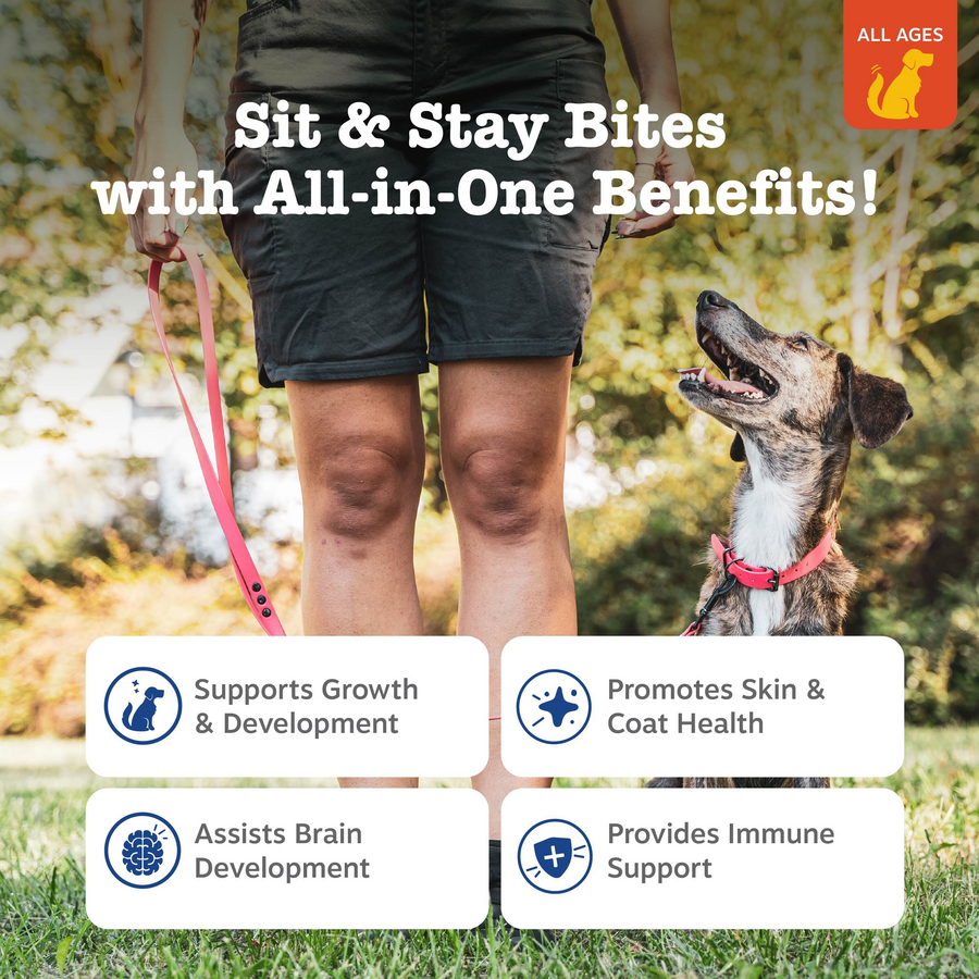 810030592150_ZP_Dog__TrainingBites_Bacon_8oz_2_Features-900x900-c4cc11b.png