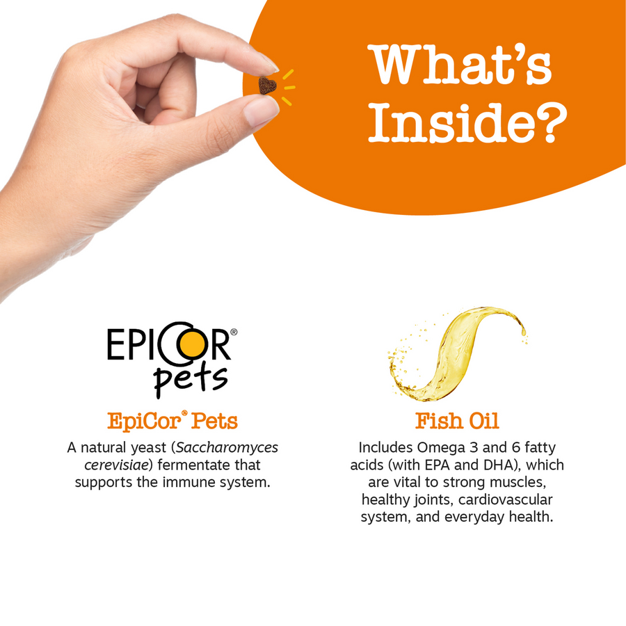 810030592181_ZP_Dog_Supplement_Training_Bites_PB_8oz_Ingredients-900x900-c4cc11b.png