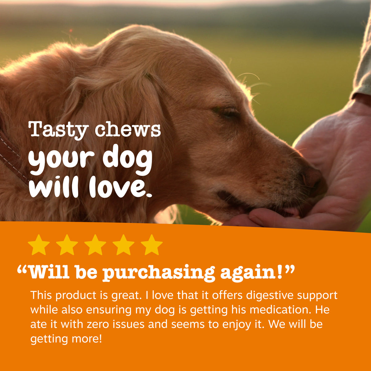 810030592259_ZP_Dog_Supplement_ProbioticPastePillWrap_Bacon_4_2oz_Review-1200x1200-bd93c0f_97089a51-3463-4a02-a515-6b0d3673f6fb.jpg