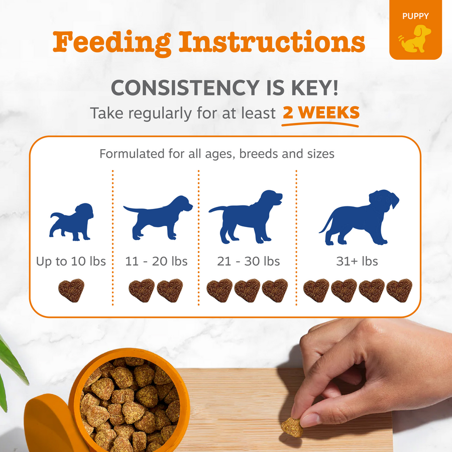 810030592273_ZP_Dog_Puppy_Multi_Chicken_90-60ct_4_Feeding-900x900-c4cc11b.png