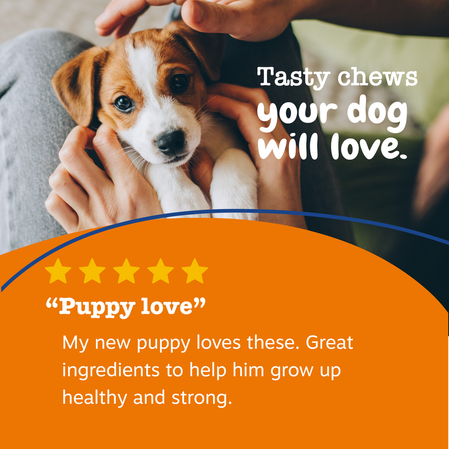 810030592273_ZP_Dog_Puppy_Multi_Chicken_90-60ct_6_Review-900x900-c4cc11b.png