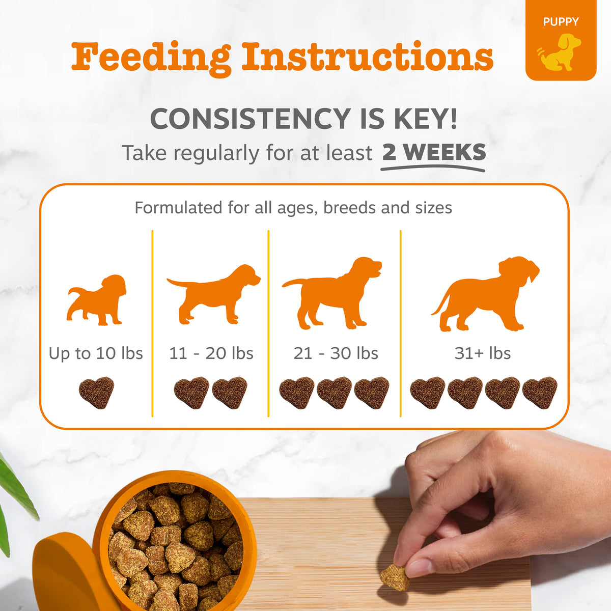 810030592280_ZP_Dog_Supplement_Puppy_AllergyImmune_Bites_Lamb_90ct_Feeding-1200x1200-bd93c0f.jpg