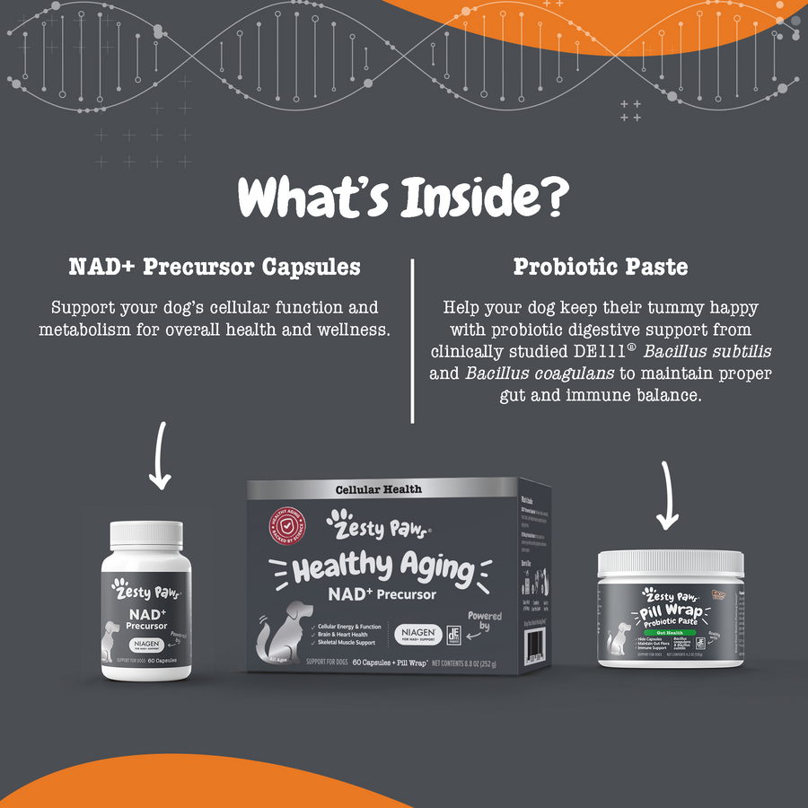 810030593898_ZP_Dog_Supplement_HealthyAging_Capsules_PillWrap_8_8oz_Lifestyle-900x900-c4cc11b.png