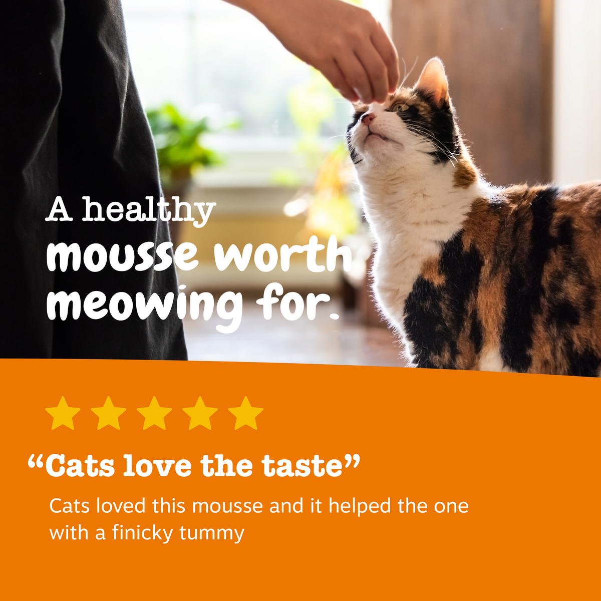 810030593904_ZP_Cat_Treat_DigestionMousse_Chicken_18ct_Review-1200x1200-28e5ebb_1.png