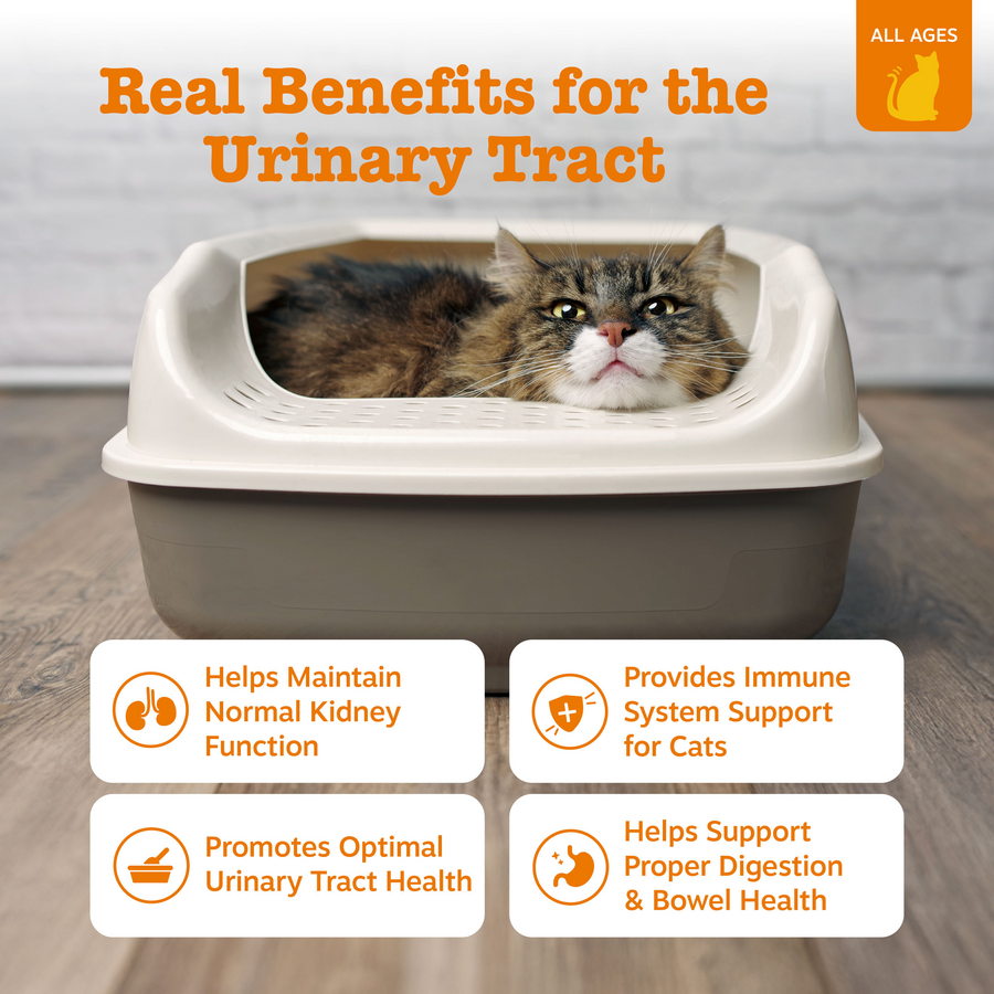 810030593973_ZP_Cat_Supplement_UrinaryTract_Mousse_Chicken_14ct_Features-900x900-c4cc11b.png