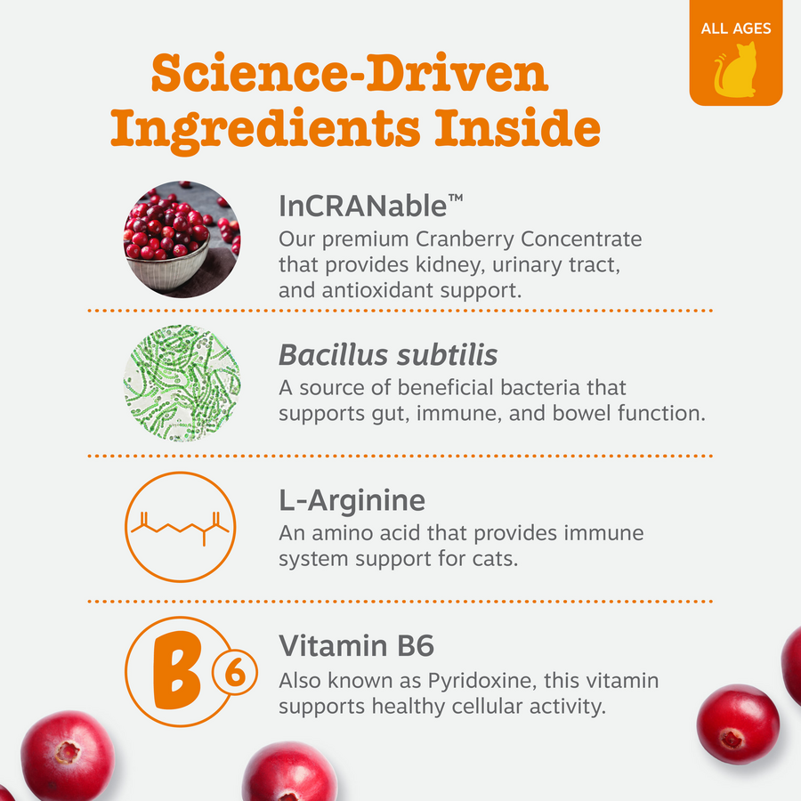 810030593973_ZP_Cat_Supplement_UrinaryTract_Mousse_Chicken_14ct_Ingredients-900x900-c4cc11b.png