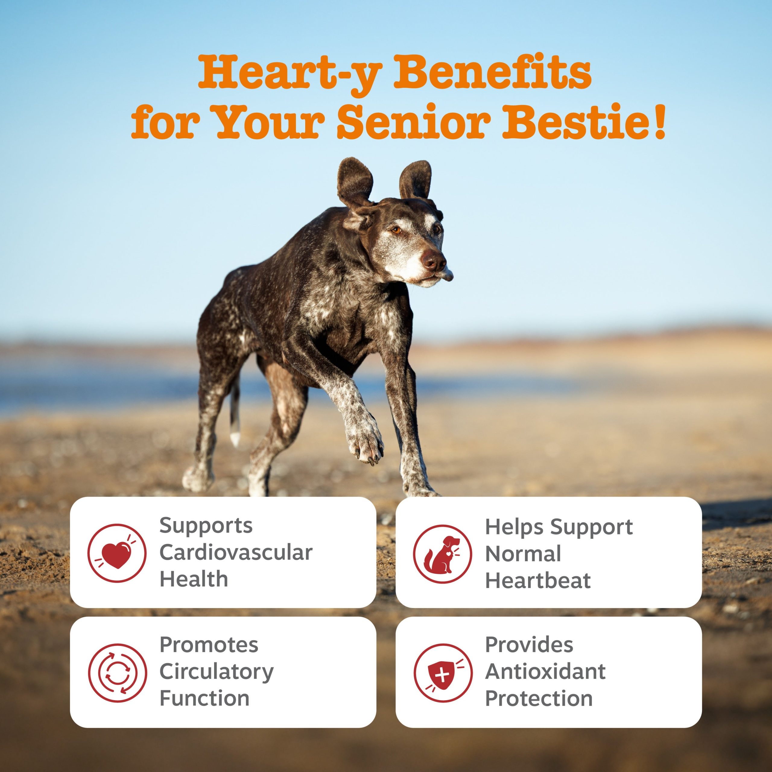 810030594116_ZP_Dog_Senior_Cardio_Salmon_90ct_2_Features.jpg