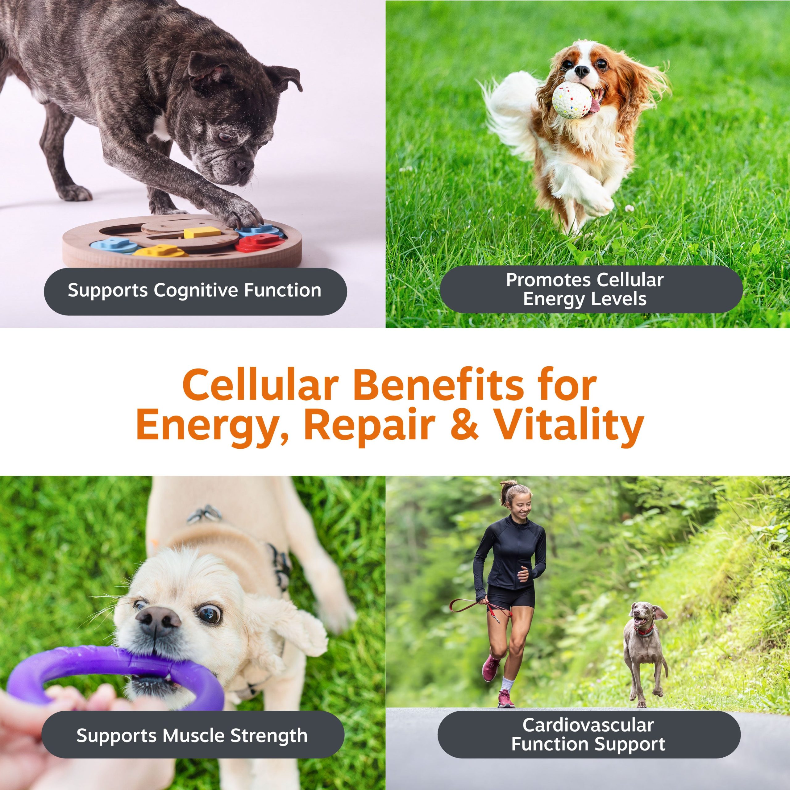 810030594161_HealthyAgingNAD_Sachets_V4_04_Benefits.jpg