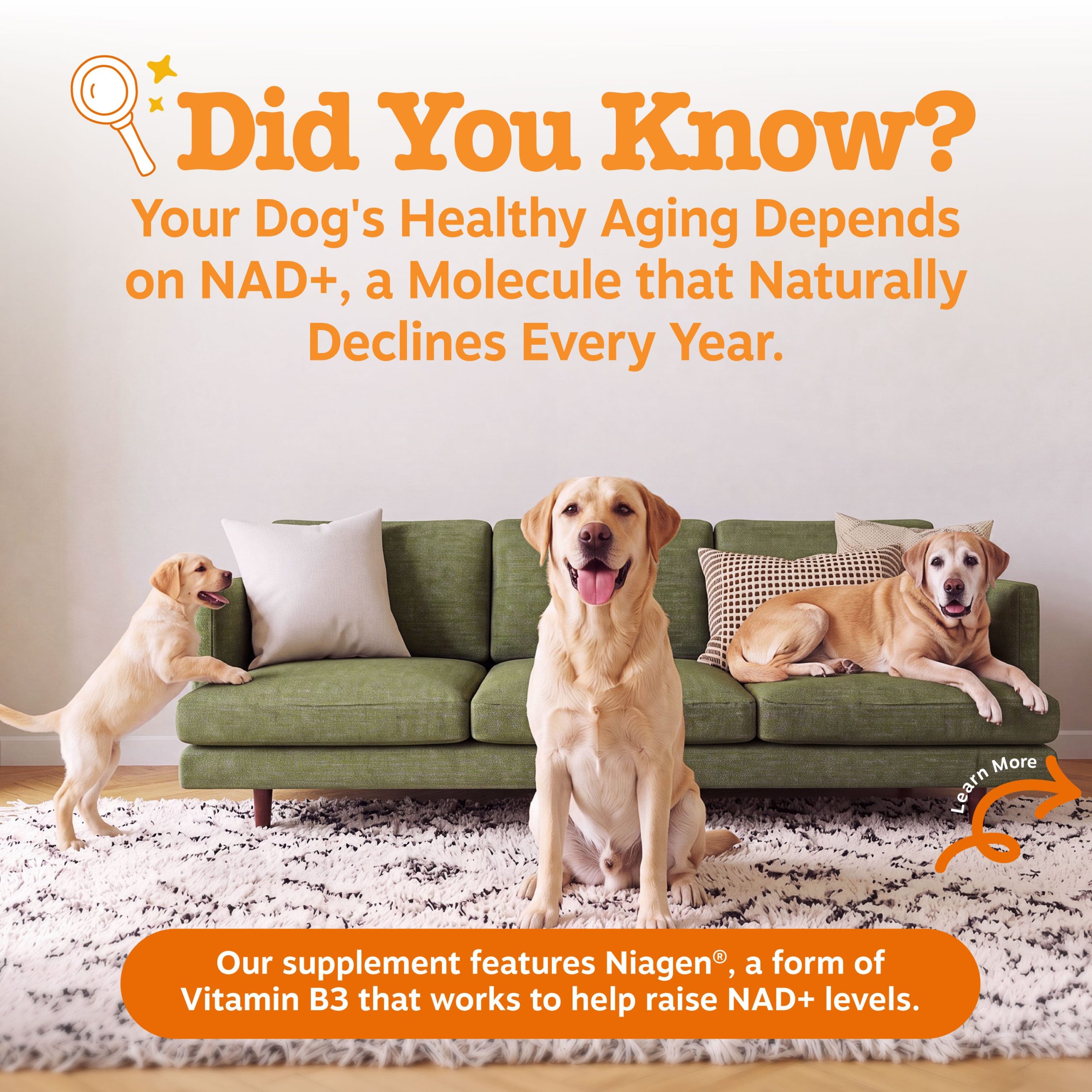 810030594161_HealthyAgingNAD_Sachets_V4_3_USP.jpg