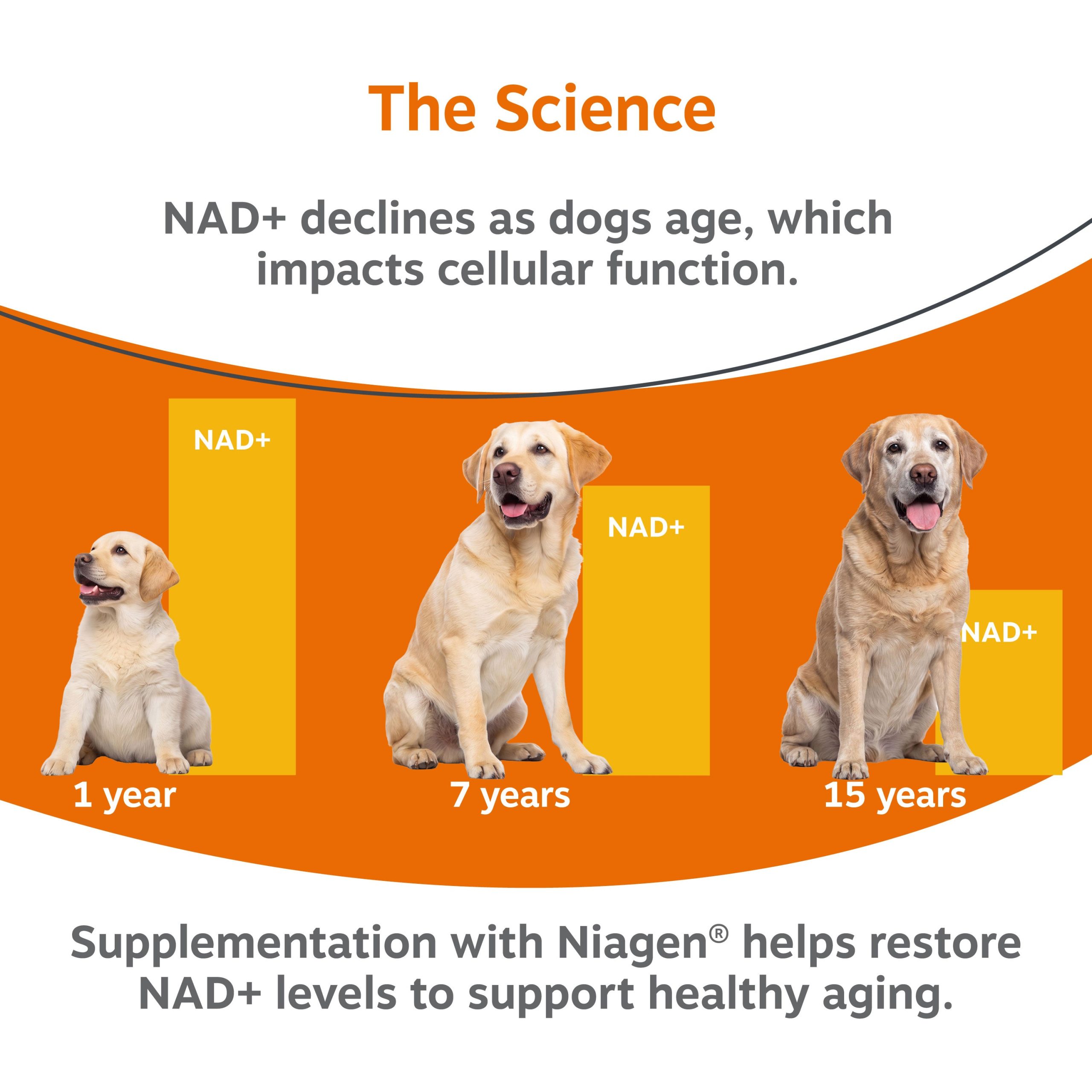 810030594161_HealthyAgingNAD_Sachets_V4_6_Science.jpg