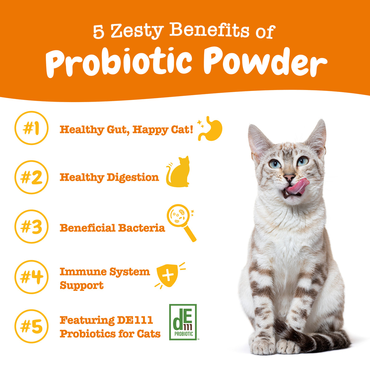810030594246_ProbioticPowders_30Ct_5Facts-1200x1200-bd93c0f.jpg