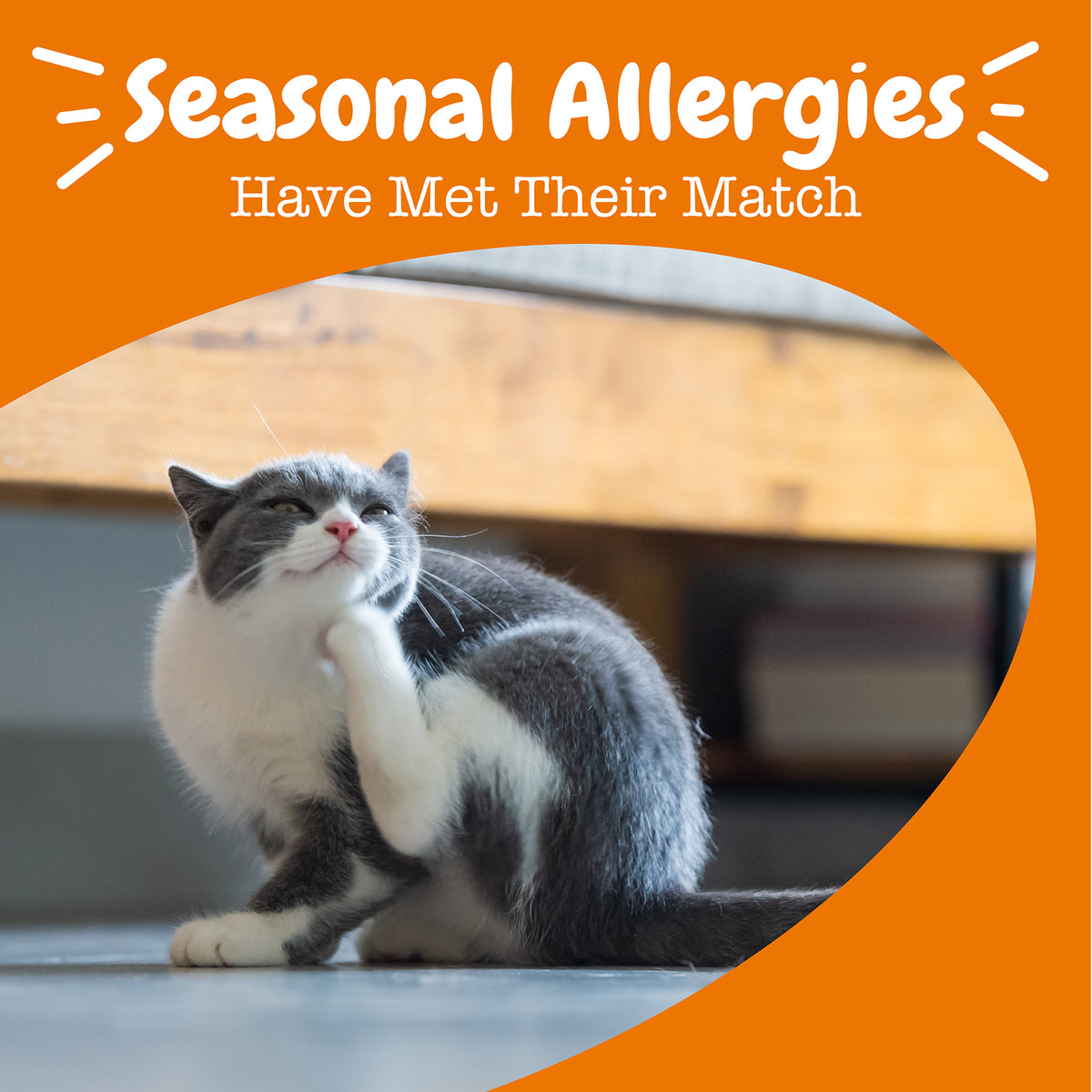 810030594567_ZP_Cat_Supplement_AllergyImmune_Mousse_Chicken_14ct_Lifestyle-1200x1200-bd93c0f.jpg