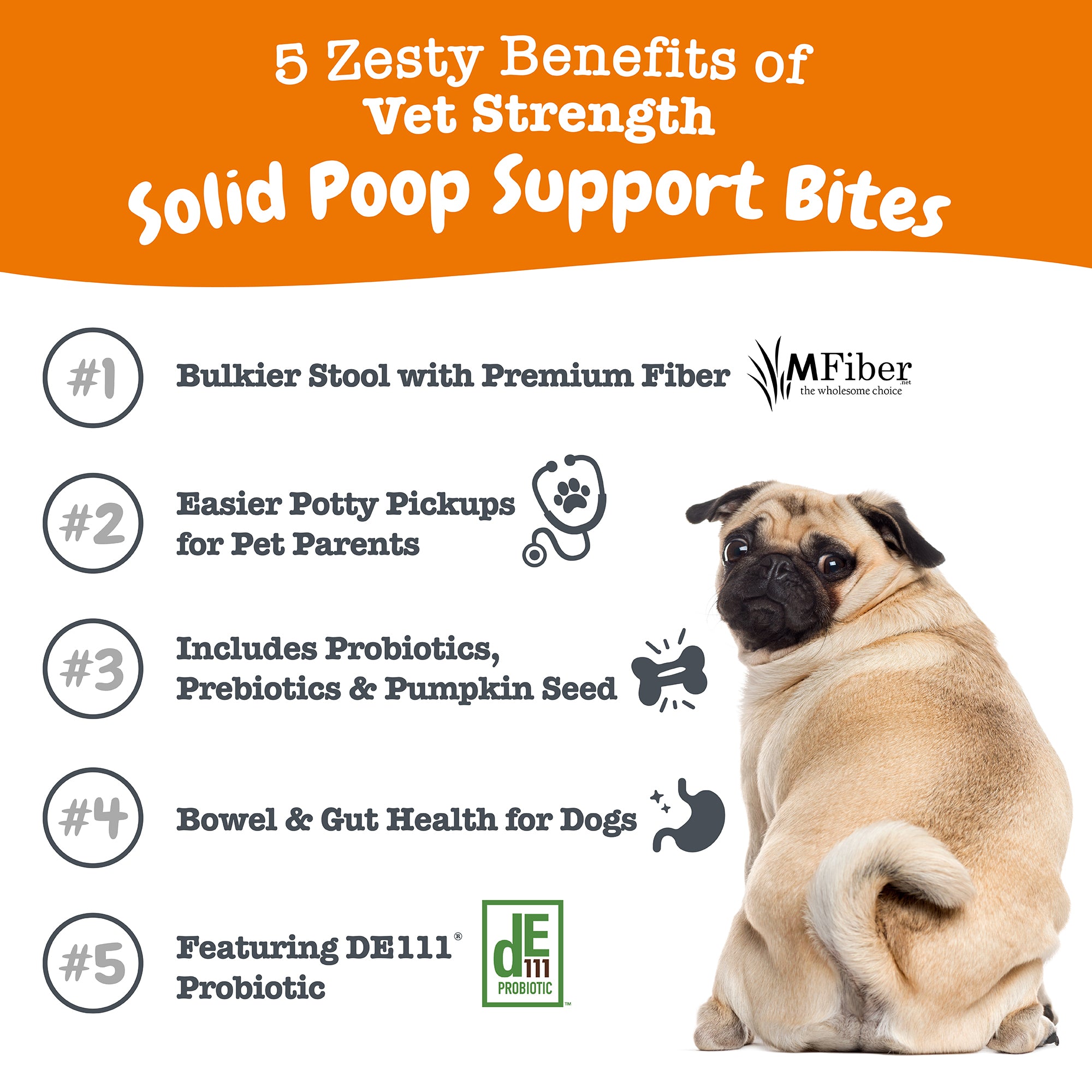 810030594758_ZP_Dog_Supplement_VetStrengthSolidPoop_Chicken_90ct_5Facts.jpg