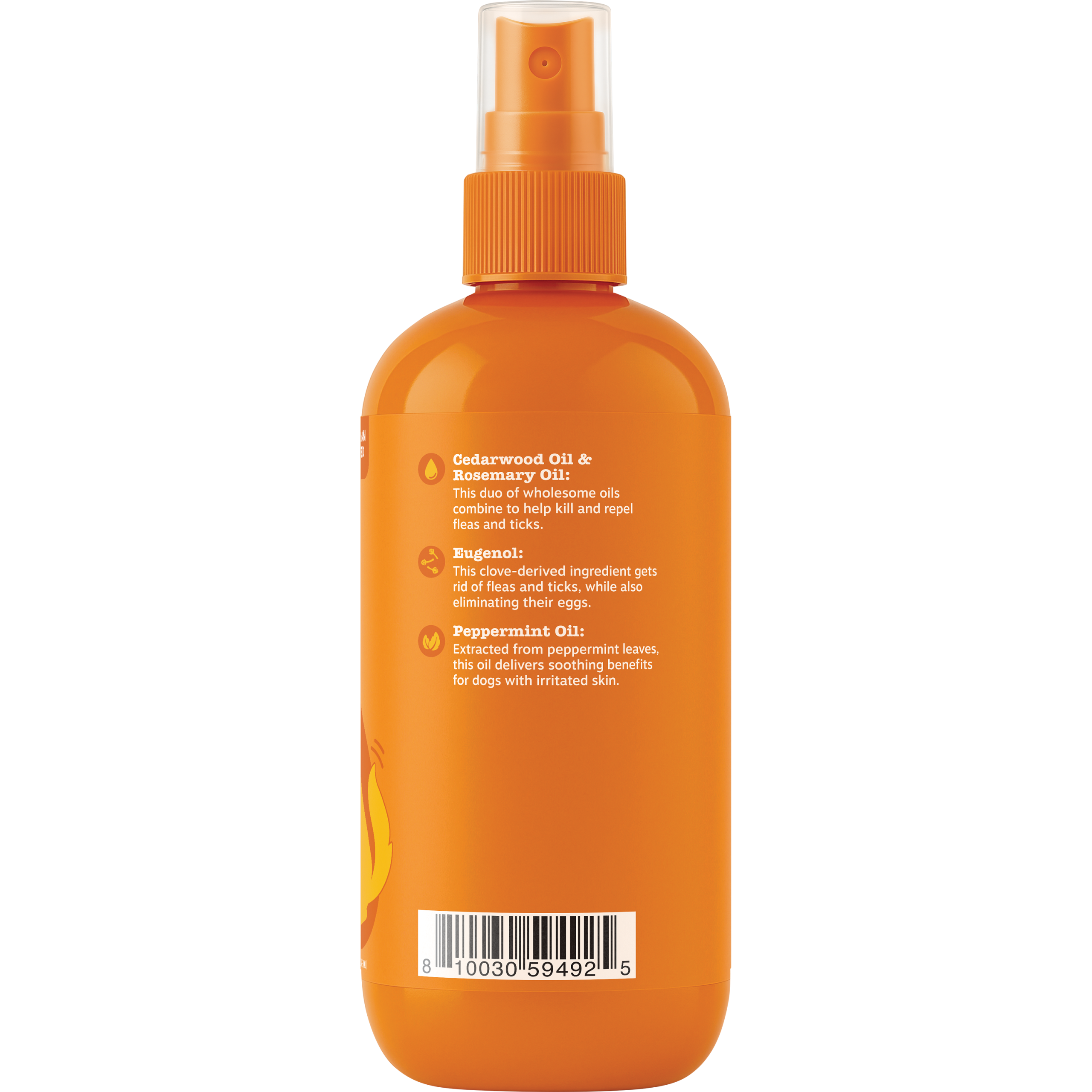 810030594925_ZP_Dog_FleaAndTickSpray_16oz_Label_02-P9B-30834_v1_Right.png