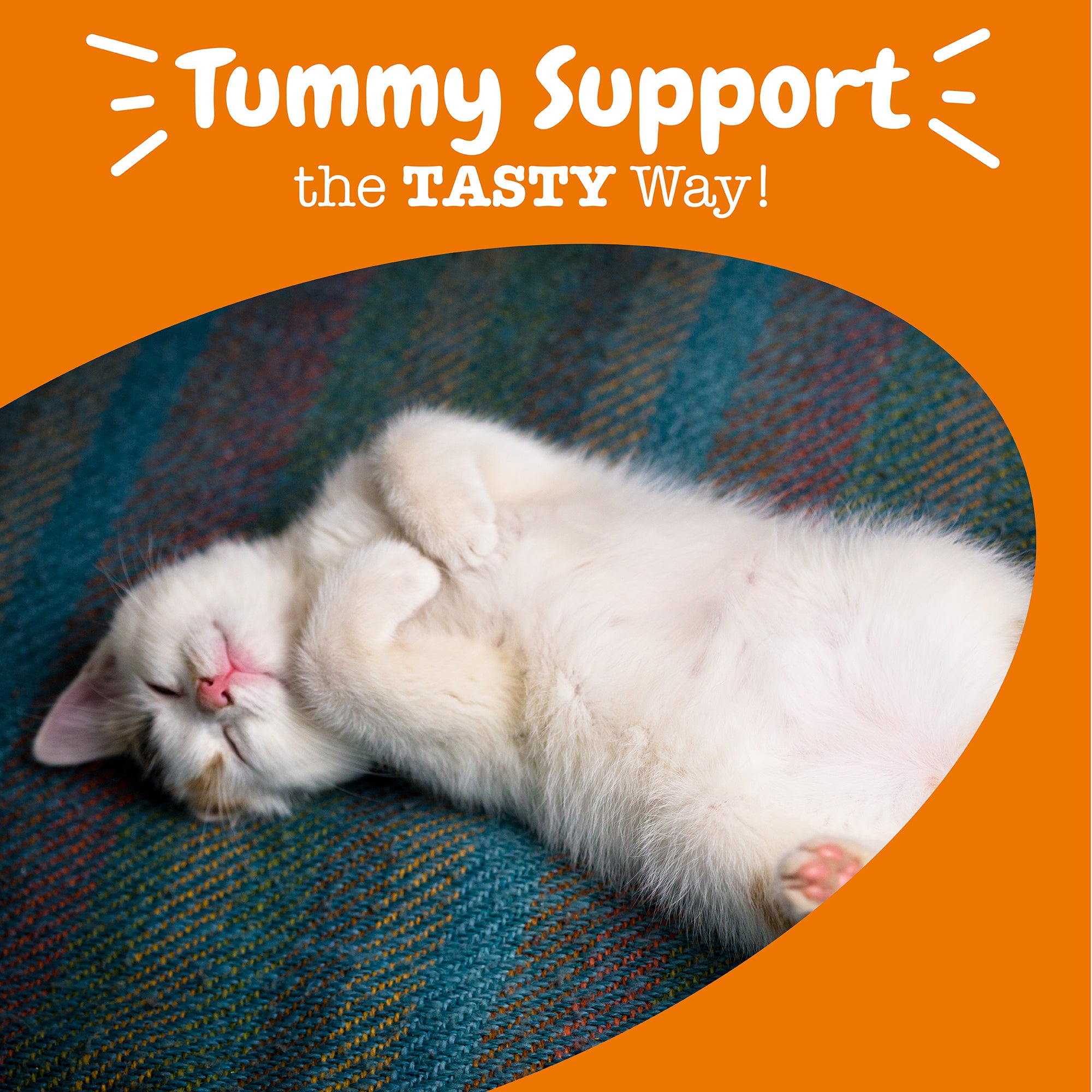 810030594949_ZP_Cat_Supplement_Probiotic_Bites_Chicken_60ct_Lifestyle.jpg