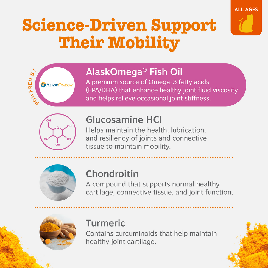 810030595267_ZP_Cat_HipJoint_Chicken_60ct_3_Ingredients-900x900-c4cc11b.png