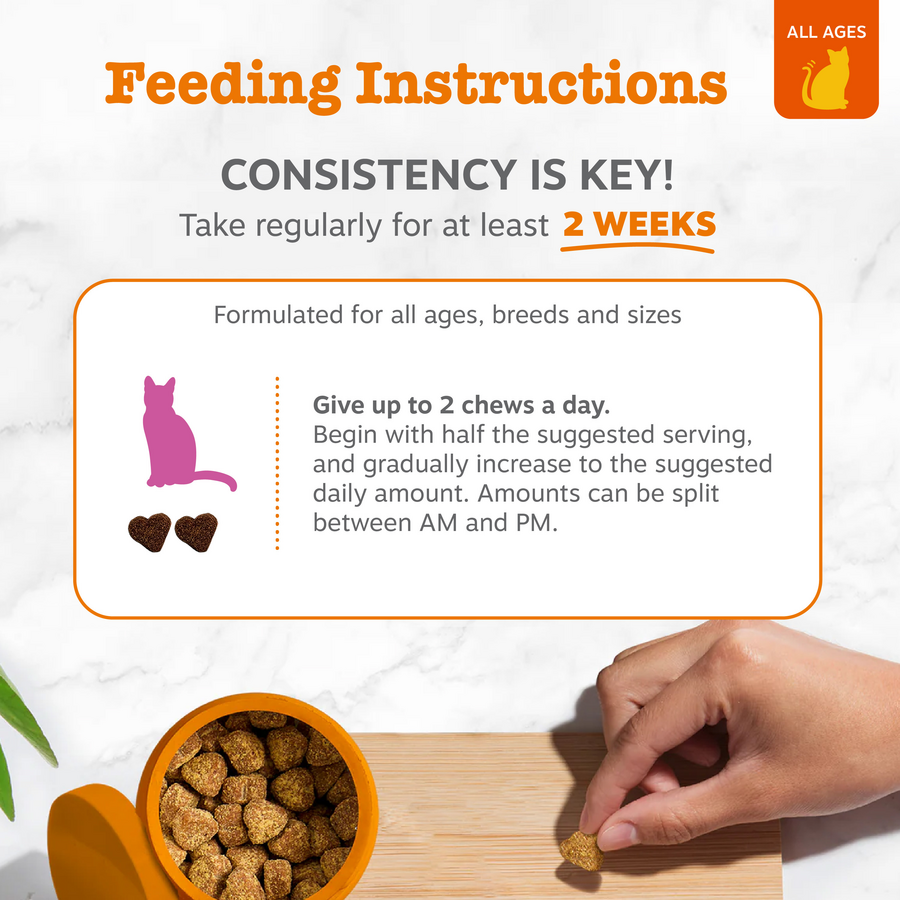 810030595267_ZP_Cat_HipJoint_Chicken_60ct_4_Feeding-900x900-c4cc11b.png