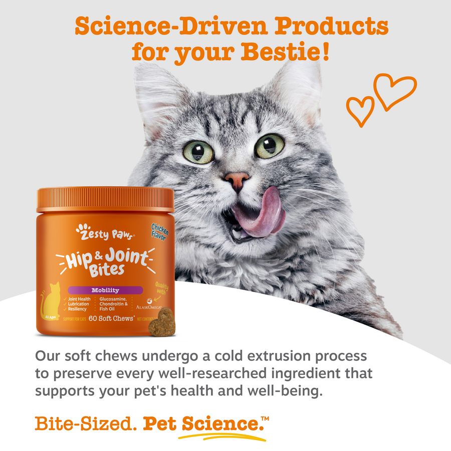 810030595267_ZP_Cat_HipJoint_Chicken_60ct_7_Science1-900x900-c4cc11b.png