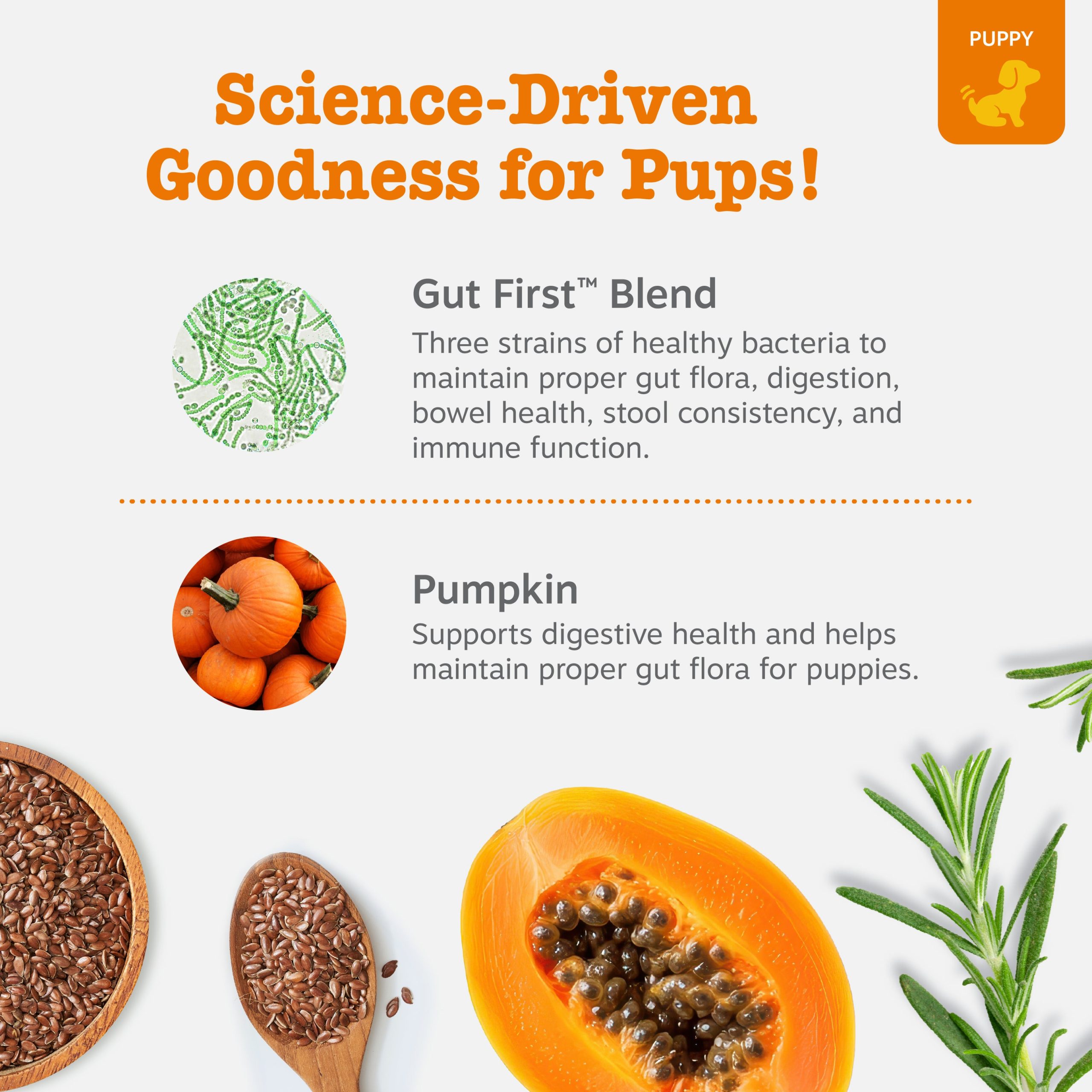 810030595632_API_3.0_ProbioticPuppy_Pumpkin_90ct_3_Ingredients.jpg