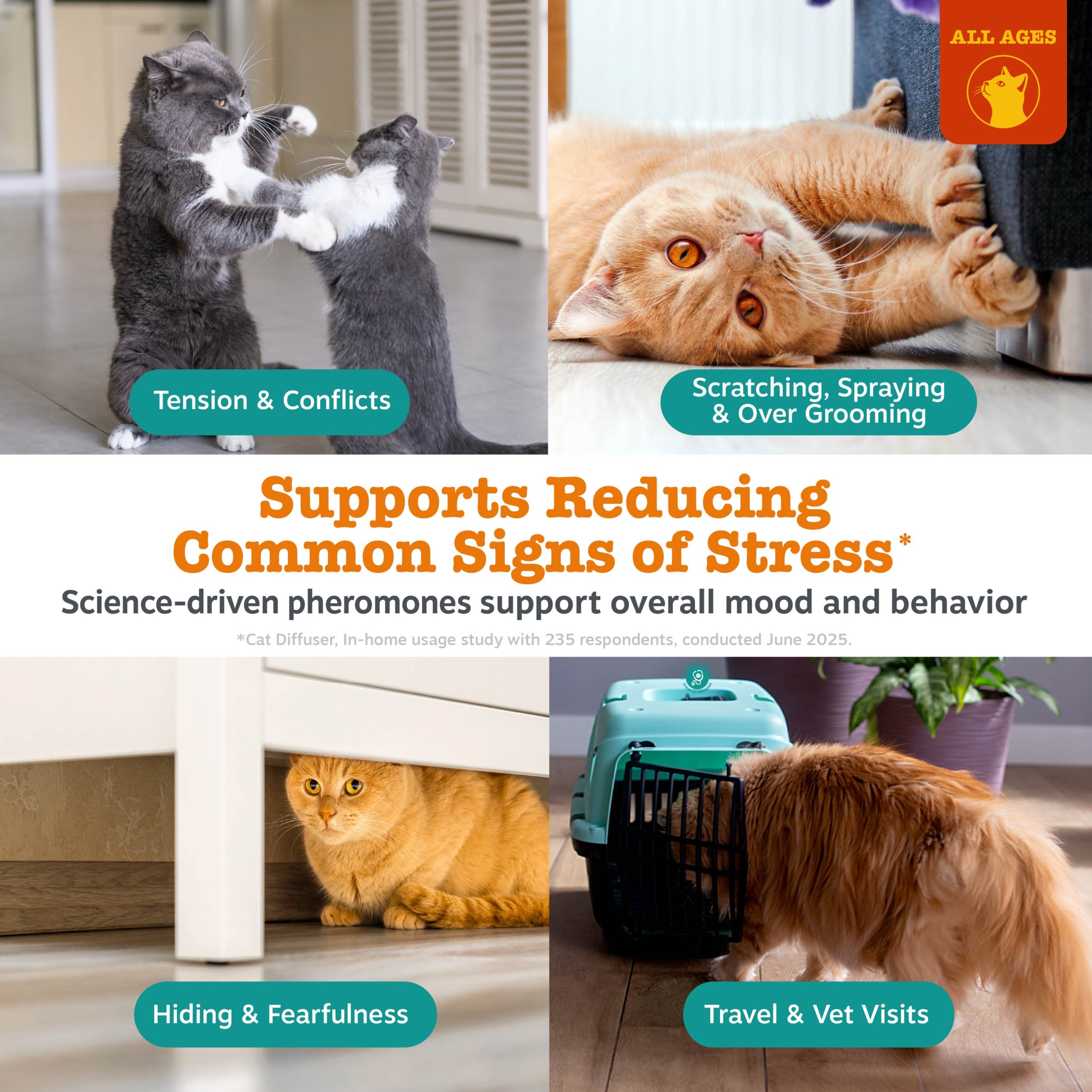 810030595663_ZP_Cat_Calming_DiffuserKit_v4_3_Usage.jpg