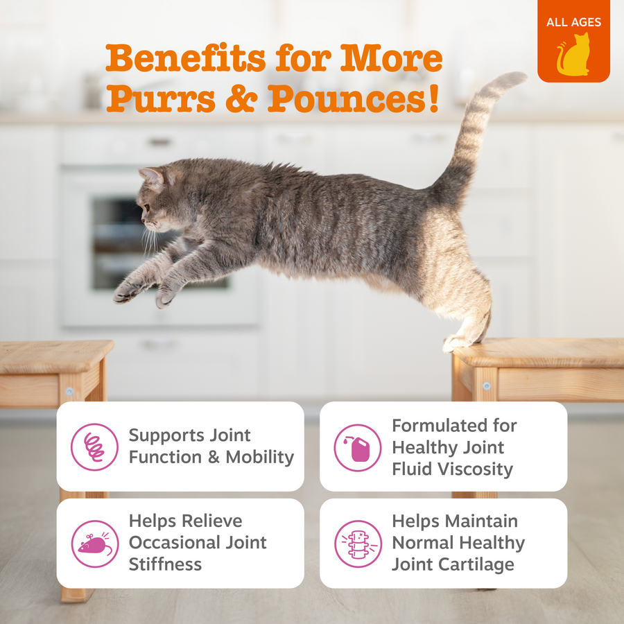 810030596219_ZP_Cat_HipJoint_Chicken_30ct_2_Features-900x900-c4cc11b.png