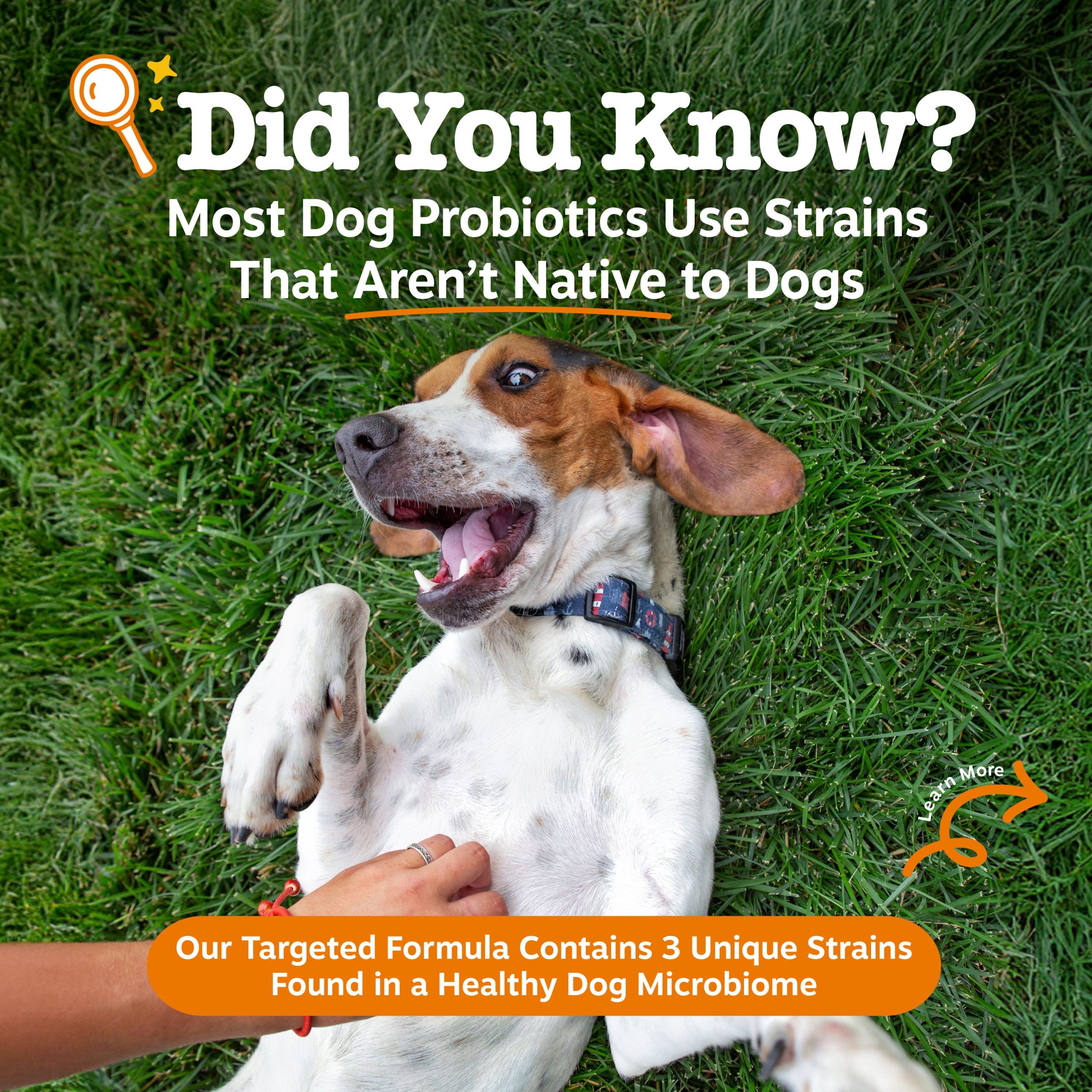 810030596455_ZP_Dog_VetStrength_NativeProbiotic_30ct_v7_2_USP.jpg