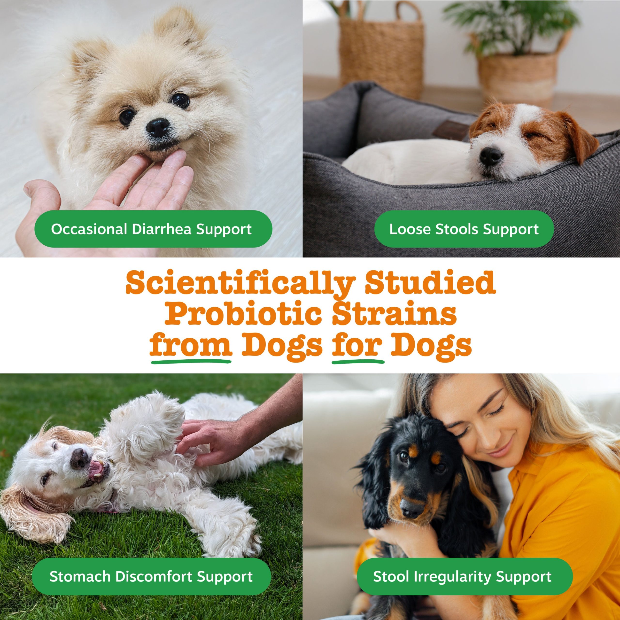 810030596455_ZP_Dog_VetStrength_NativeProbiotic_30ct_v7_4_UseCase.jpg