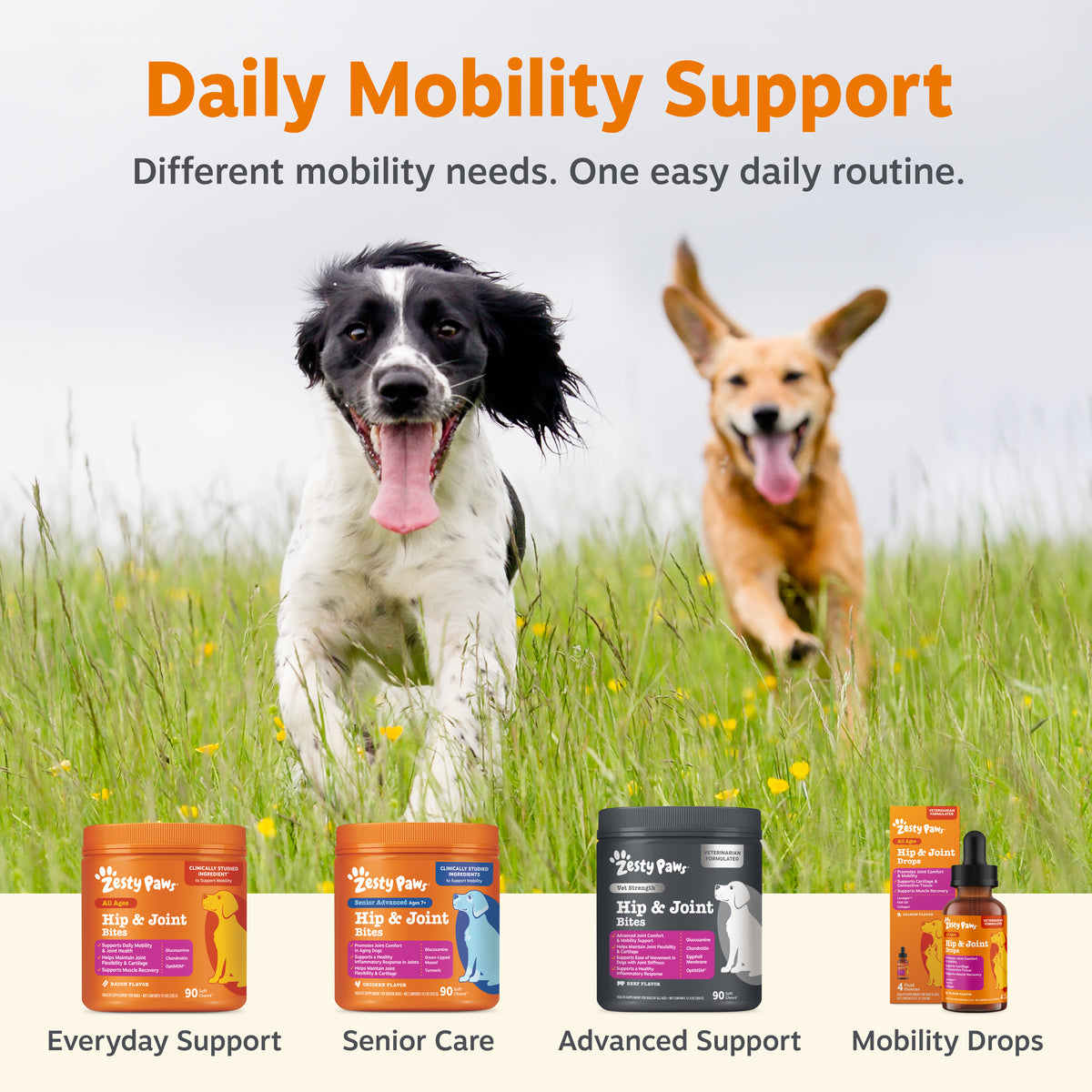 810030596998_ZP_Dog_HipJoint_MusclePowder_30ct_v3_8_CrossSell-1200x1200-bd93c0f.jpg