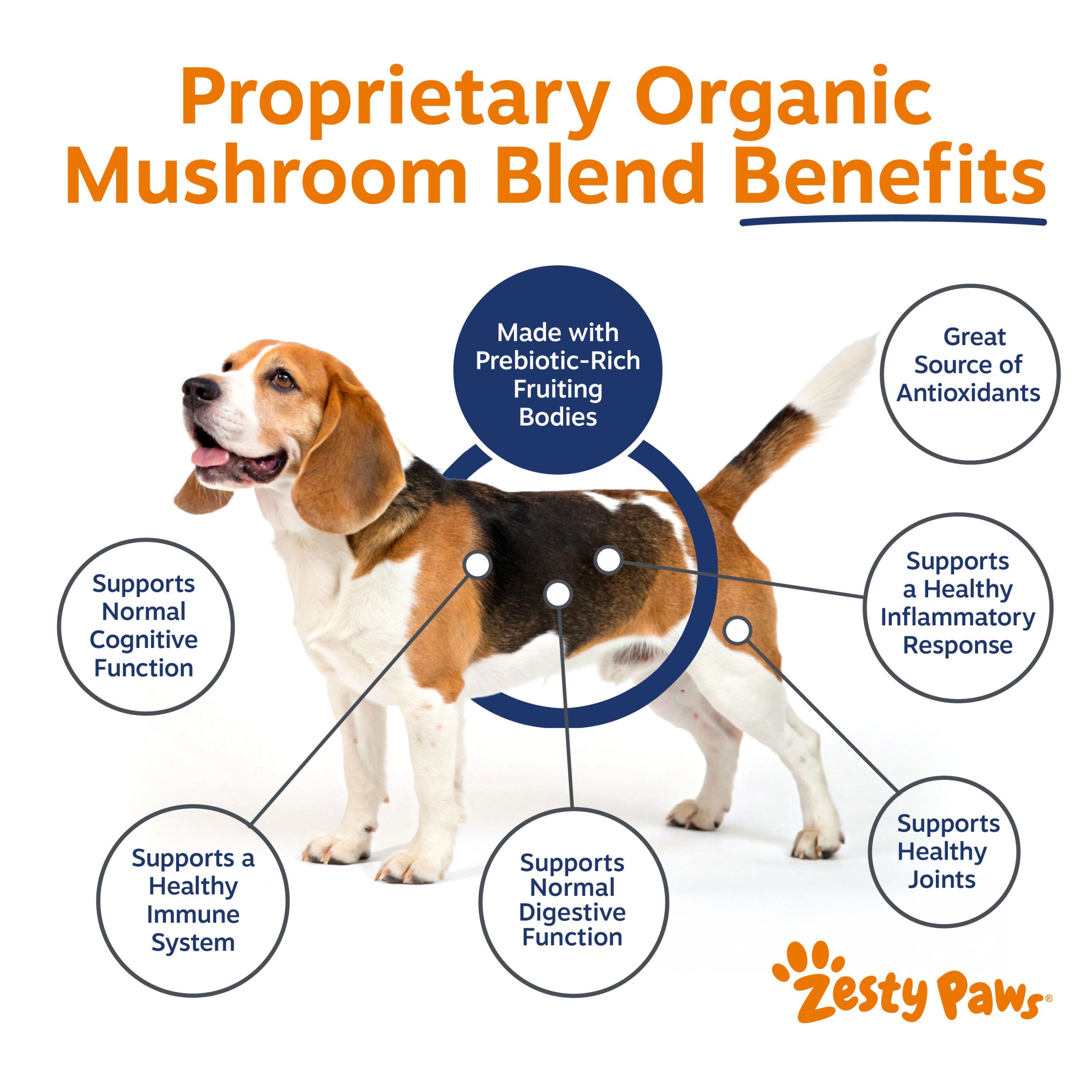 810030597018_ZP_Dog_OrganicMushroomPowder_60g_v3_3_Benefits.jpg