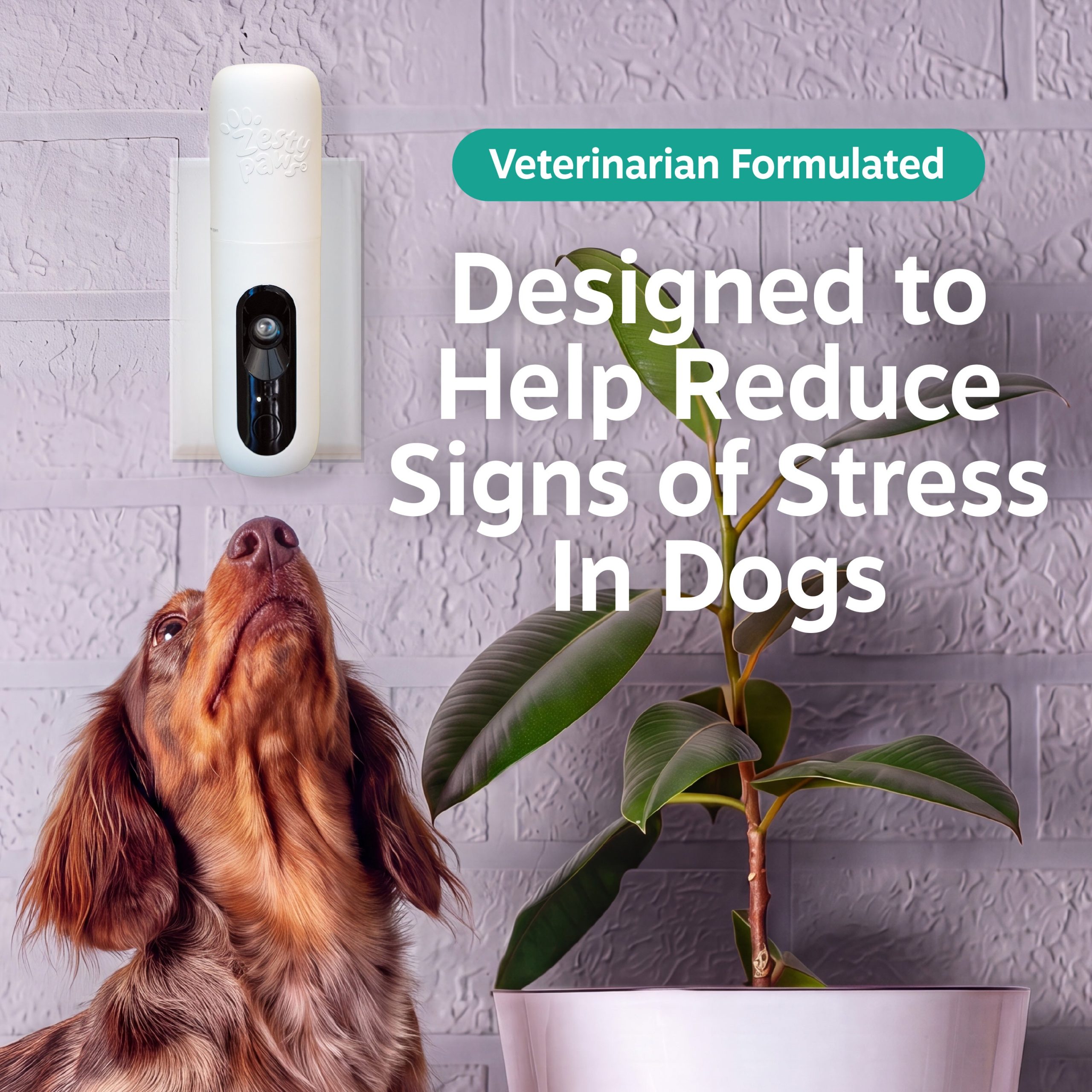 810030597087_ZP_Dog_DiffuserStarterKit_v2_2_RTB.jpg