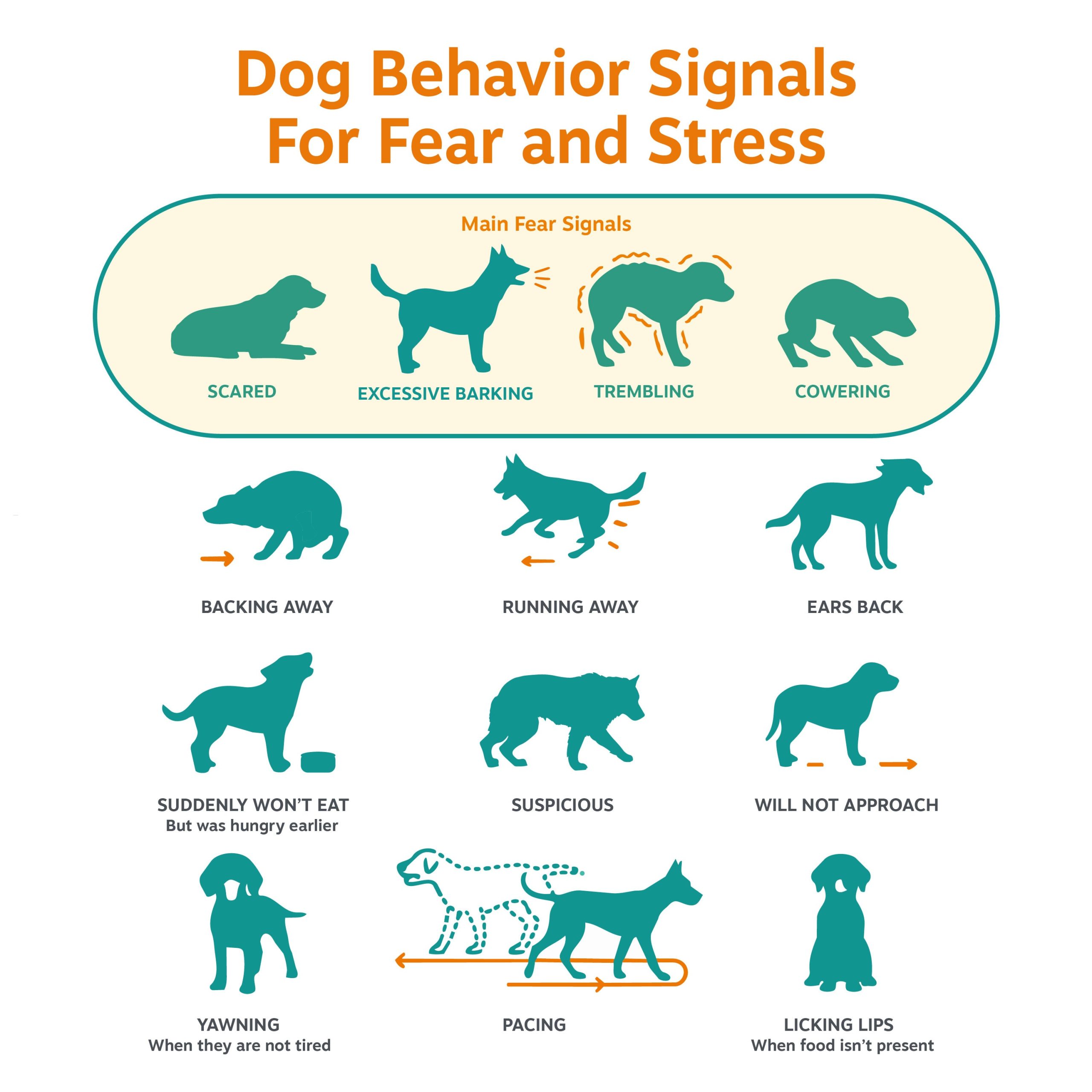 810030597087_ZP_Dog_DiffuserStarterKit_v2_5_Education.jpg