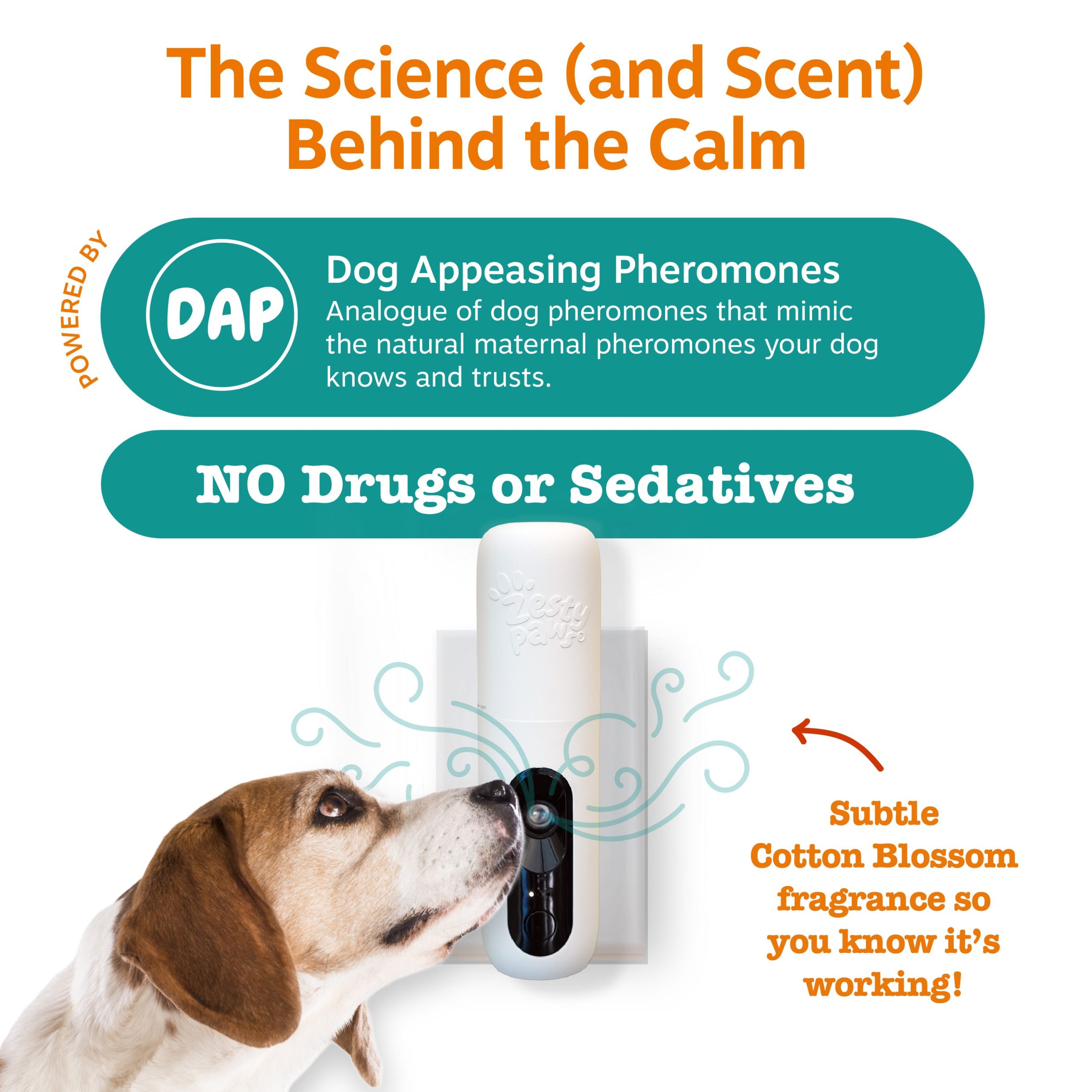 810030597087_ZP_Dog_DiffuserStarterKit_v2_6_Ingredients.jpg