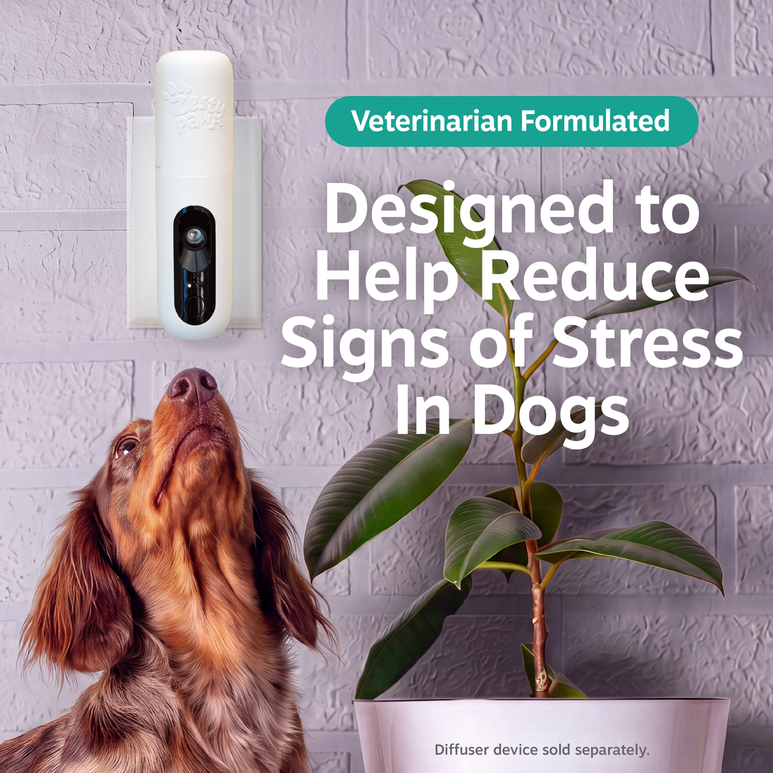 810030597094_ZP_Dog_CalmingDiffusorRefill_CottonBlossom_1pck_v1_2_RTB.png