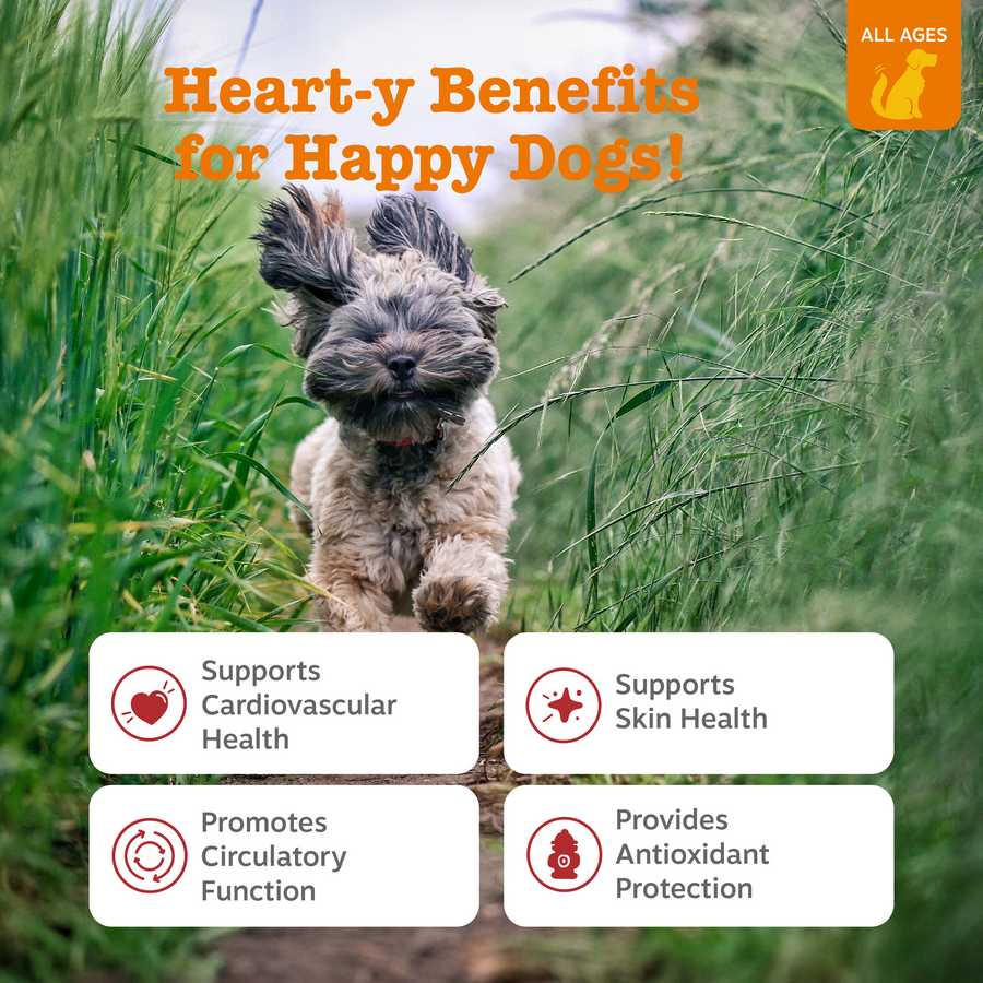 854880008713_ZP_Dog_Cardio_Salmon_90ct_2_Features-900x900-c4cc11b.png