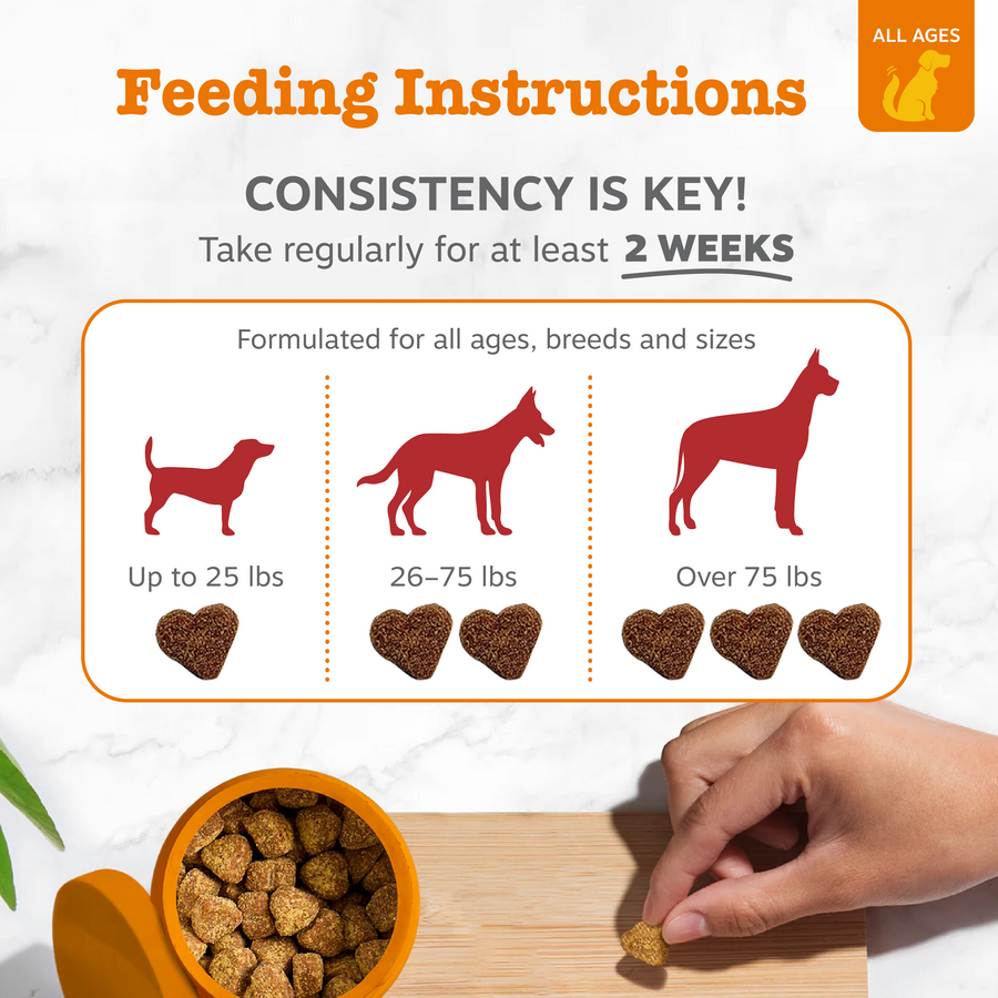 854880008713_ZP_Dog_Cardio_Salmon_90ct_4_Feeding-900x900-c4cc11b_a7b7d666-c6ec-4a71-b3c2-3a9bfaac487b.png