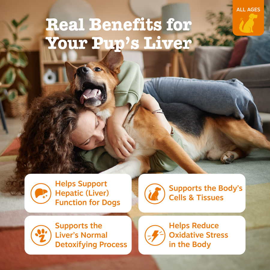 854880008720_ZP_Dog_Supplement_LiverSupport_Bites_Chicken_90ct_Features-900x900-c4cc11b.png