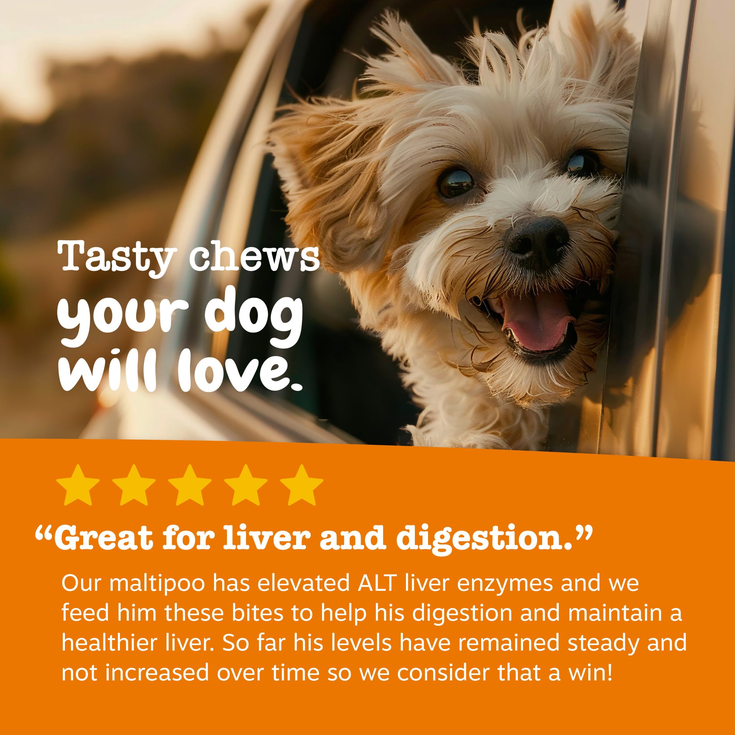 854880008720_ZP_Dog_Supplement_LiverSupport_Bites_Chicken_90ct_Review.jpg